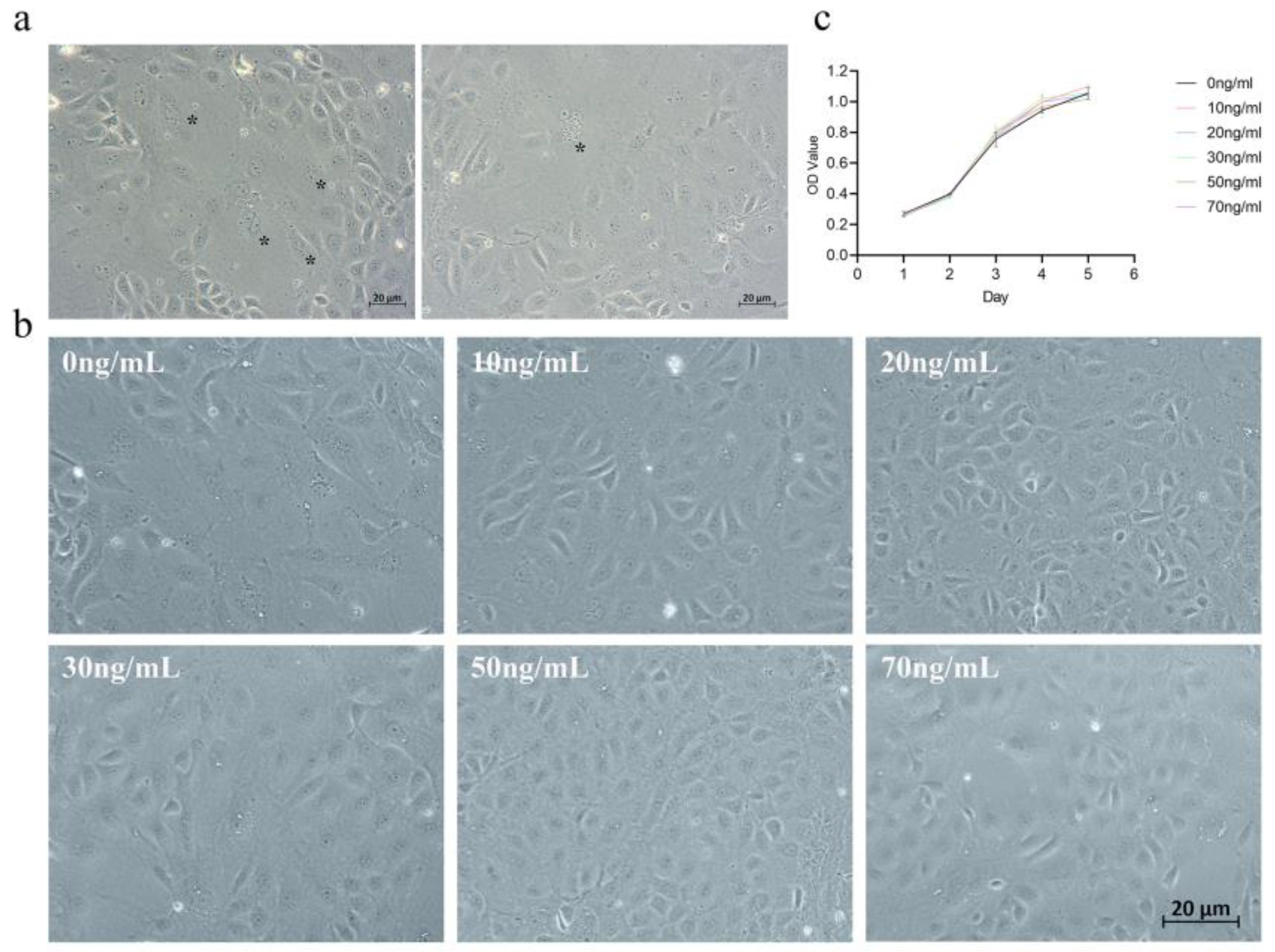 Animals 15 00450 g001