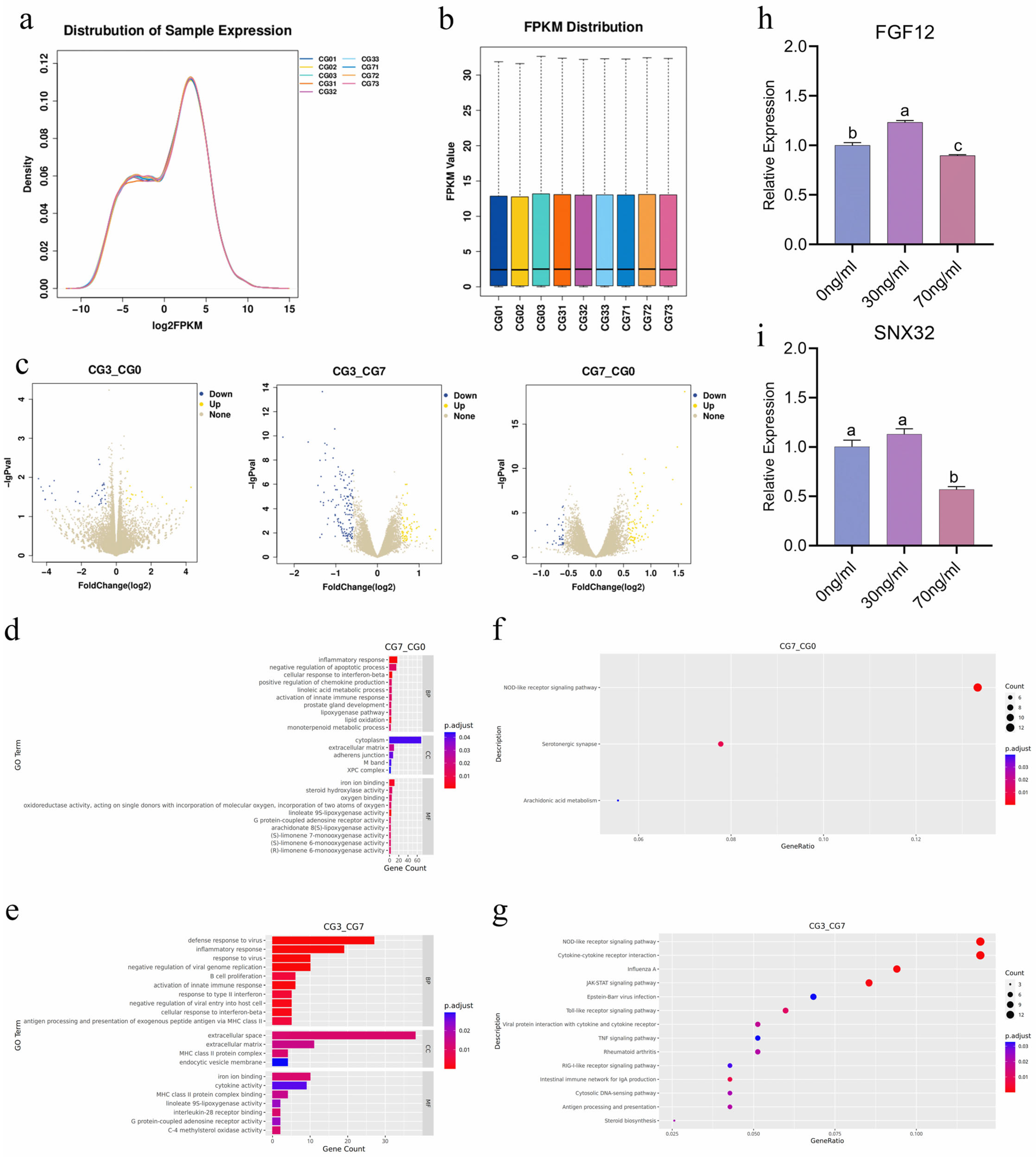 Animals 15 00450 g004