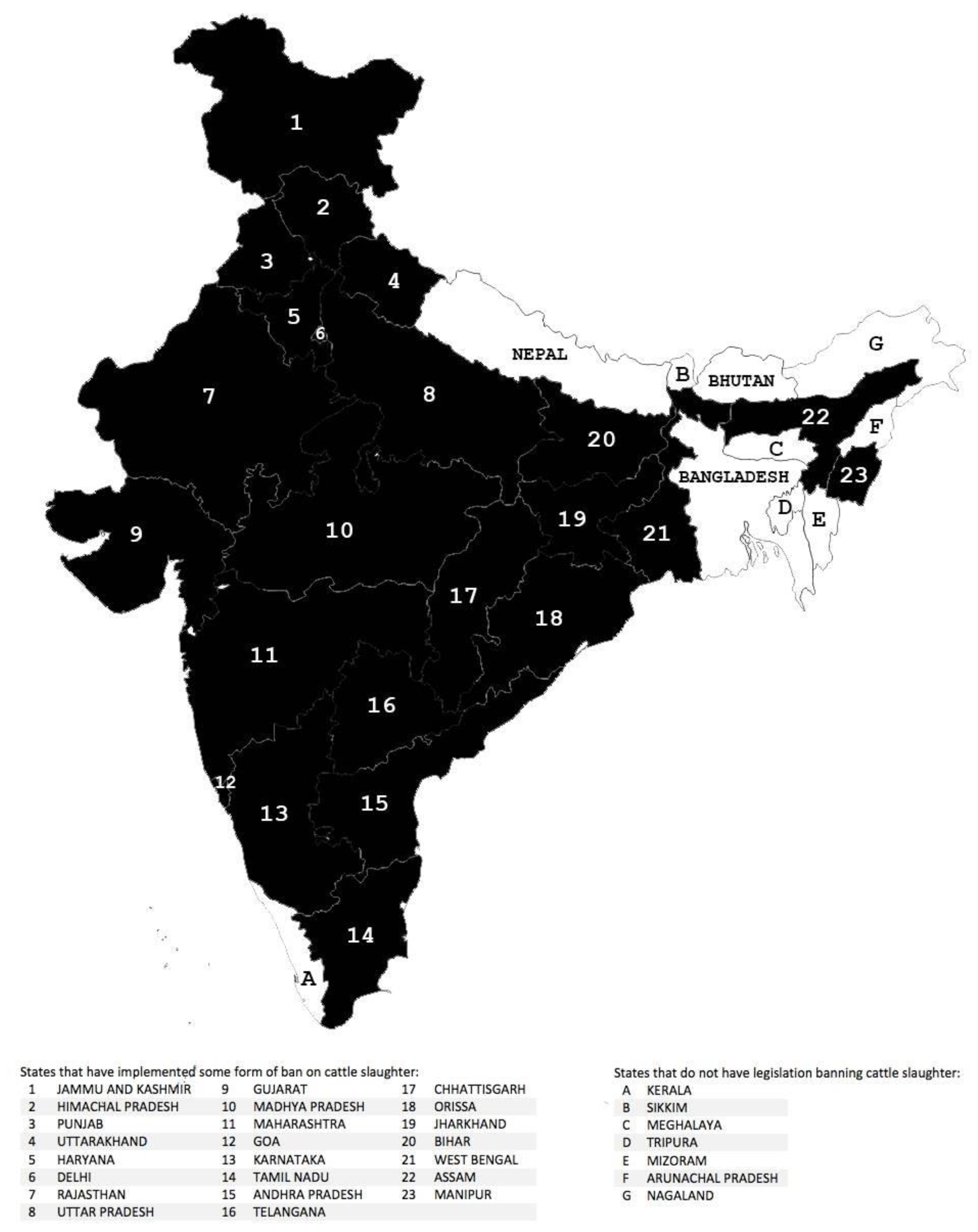 Animals 15 00454 g001 Animals 15 00454 g001