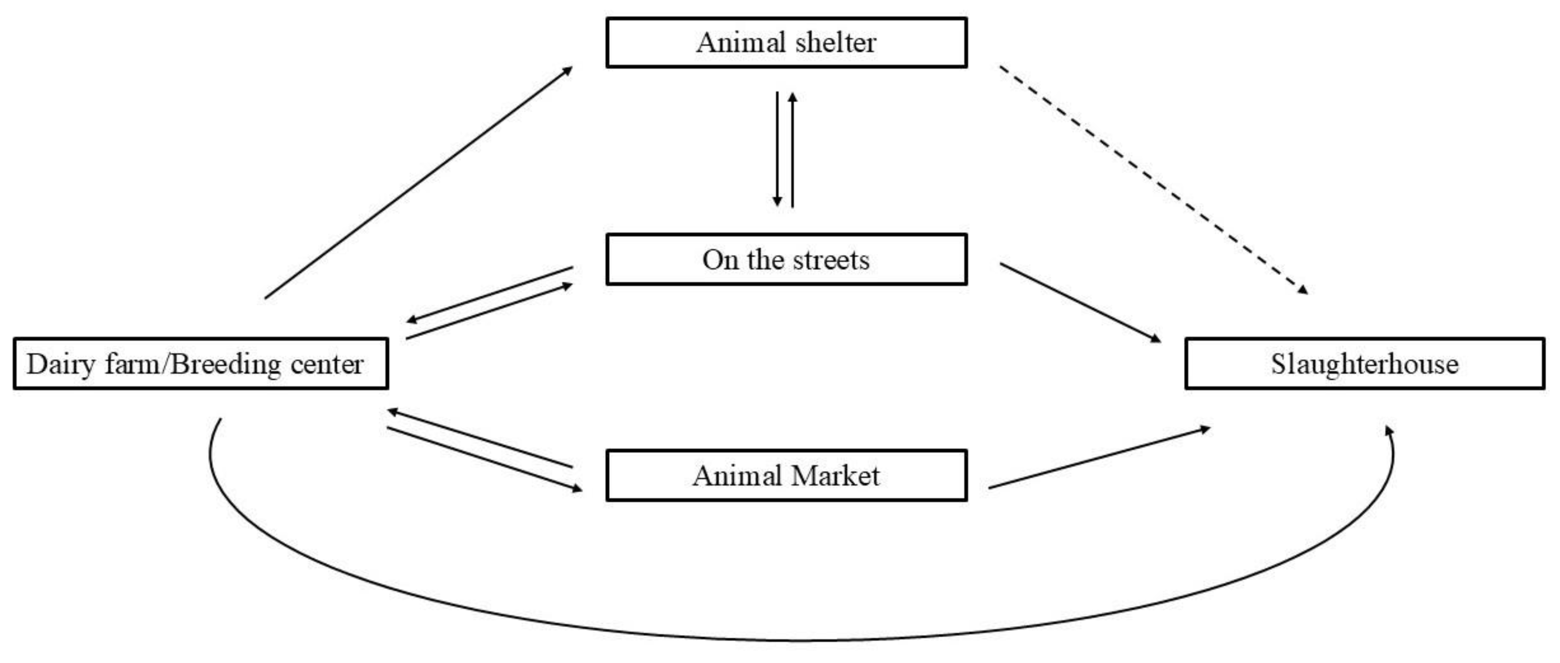 Animals 15 00454 g002 Animals 15 00454 g002