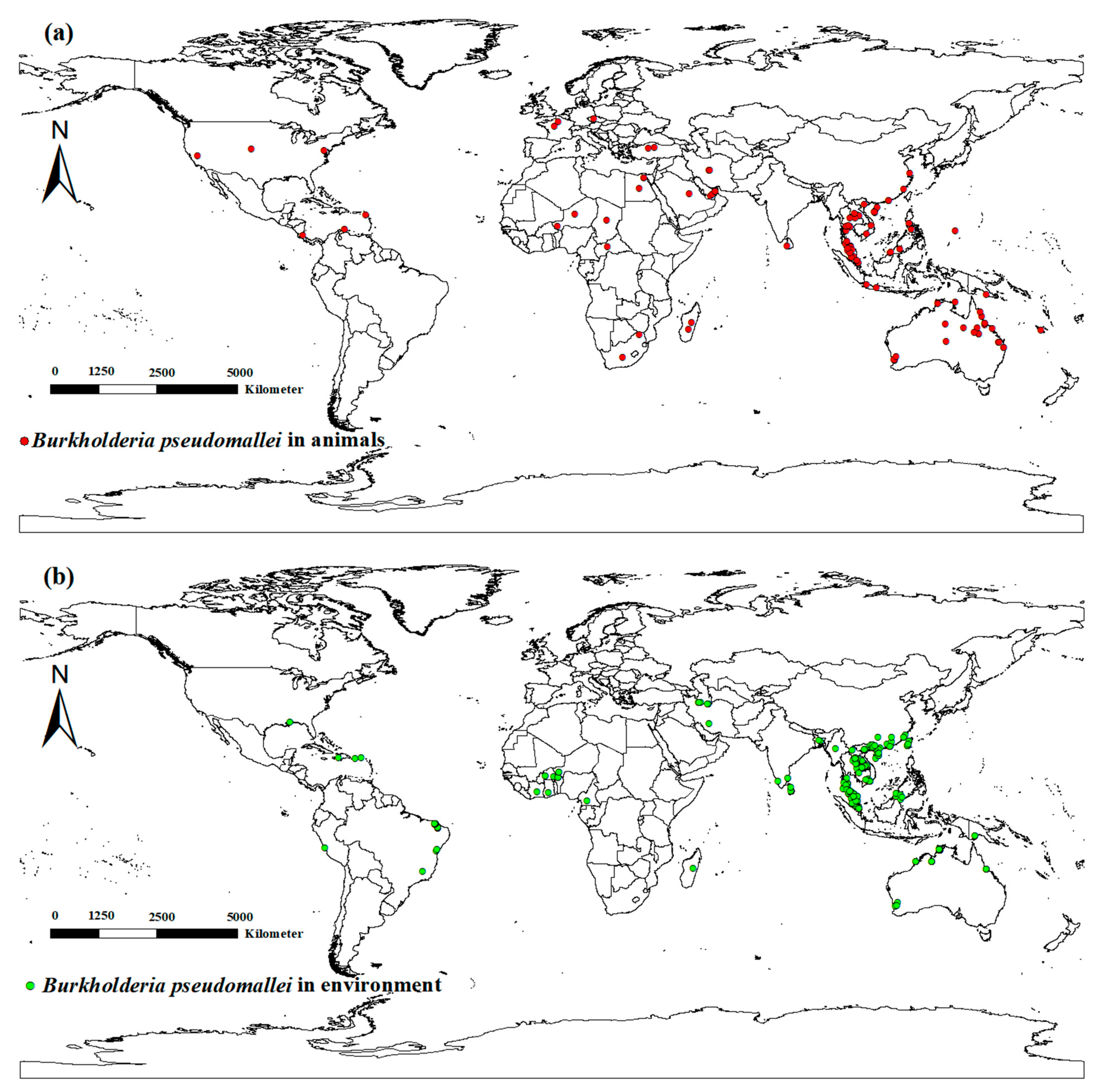 Animals 15 00455 g001