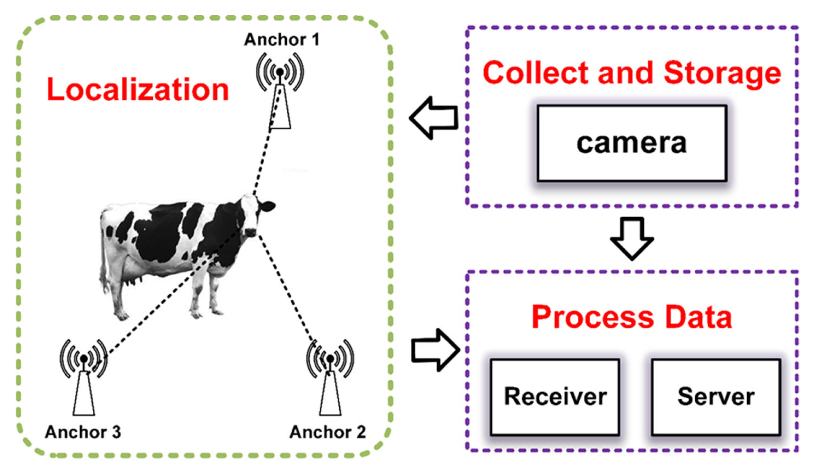 Animals 15 00456 g001