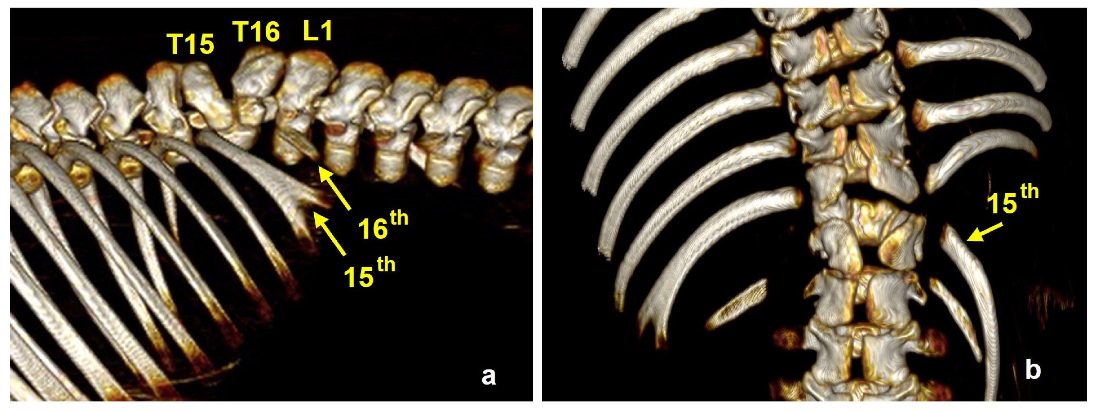Animals 15 00460 g005