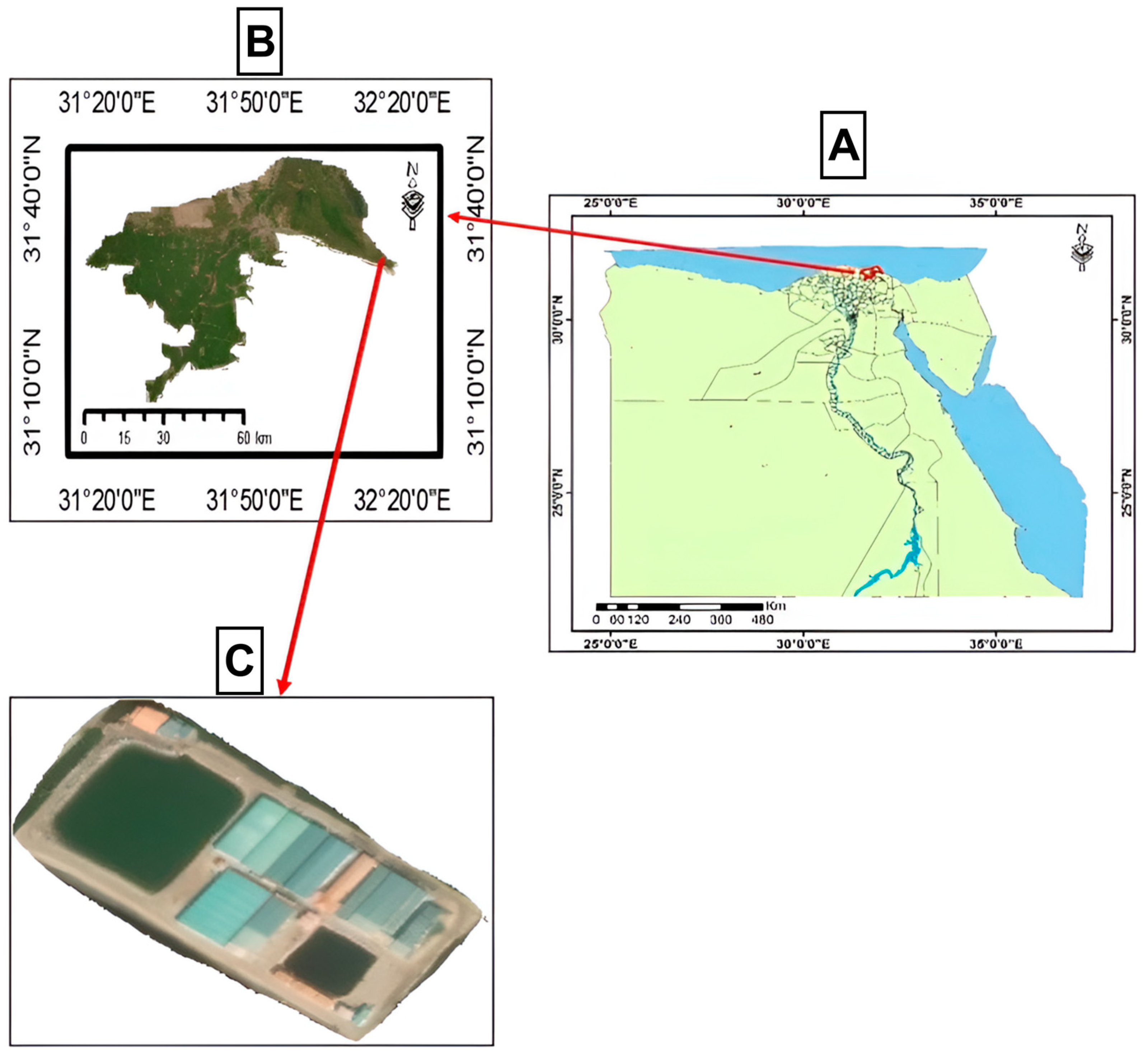 Animals 15 00466 g001 Animals 15 00466 g001