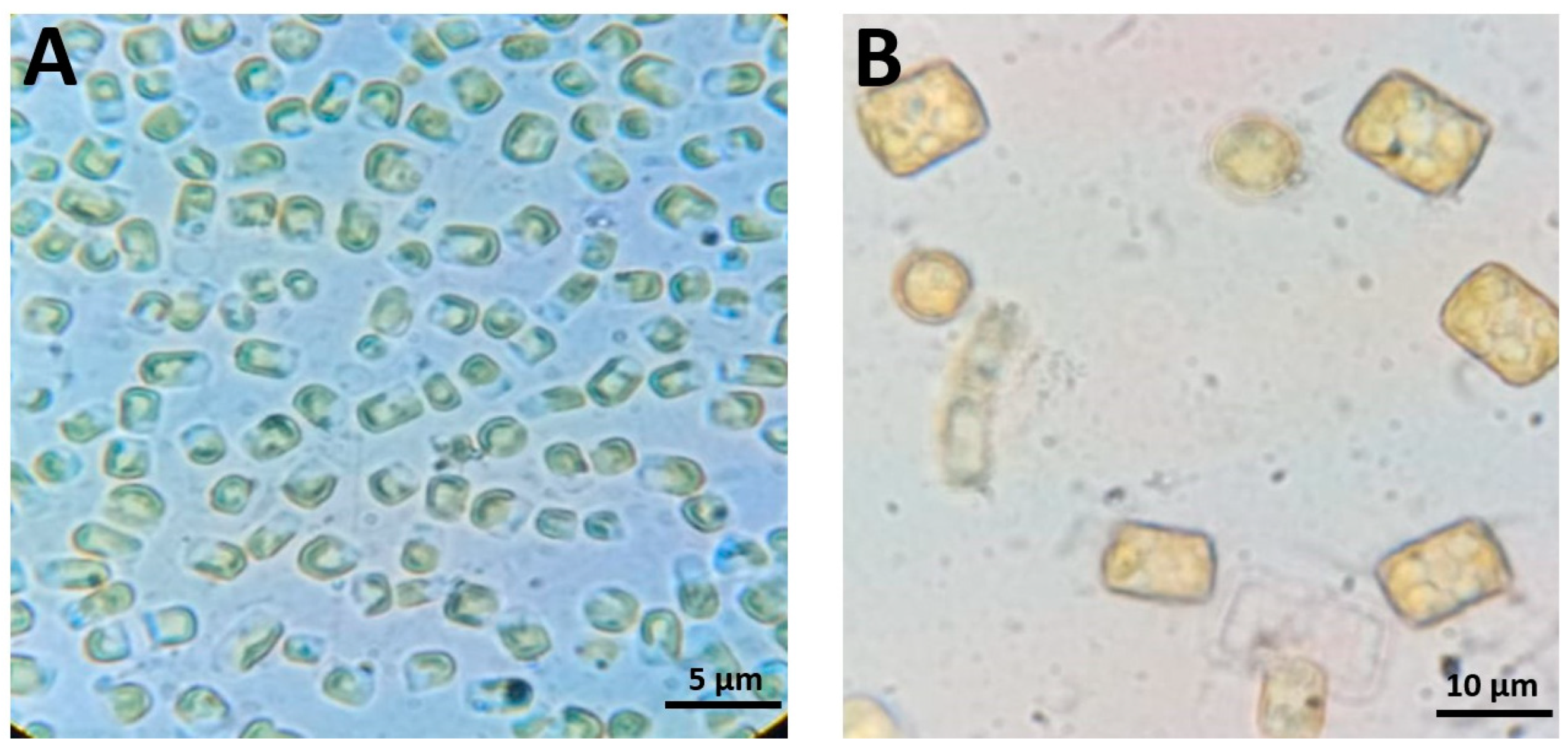 Animals 15 00466 g002 Animals 15 00466 g002