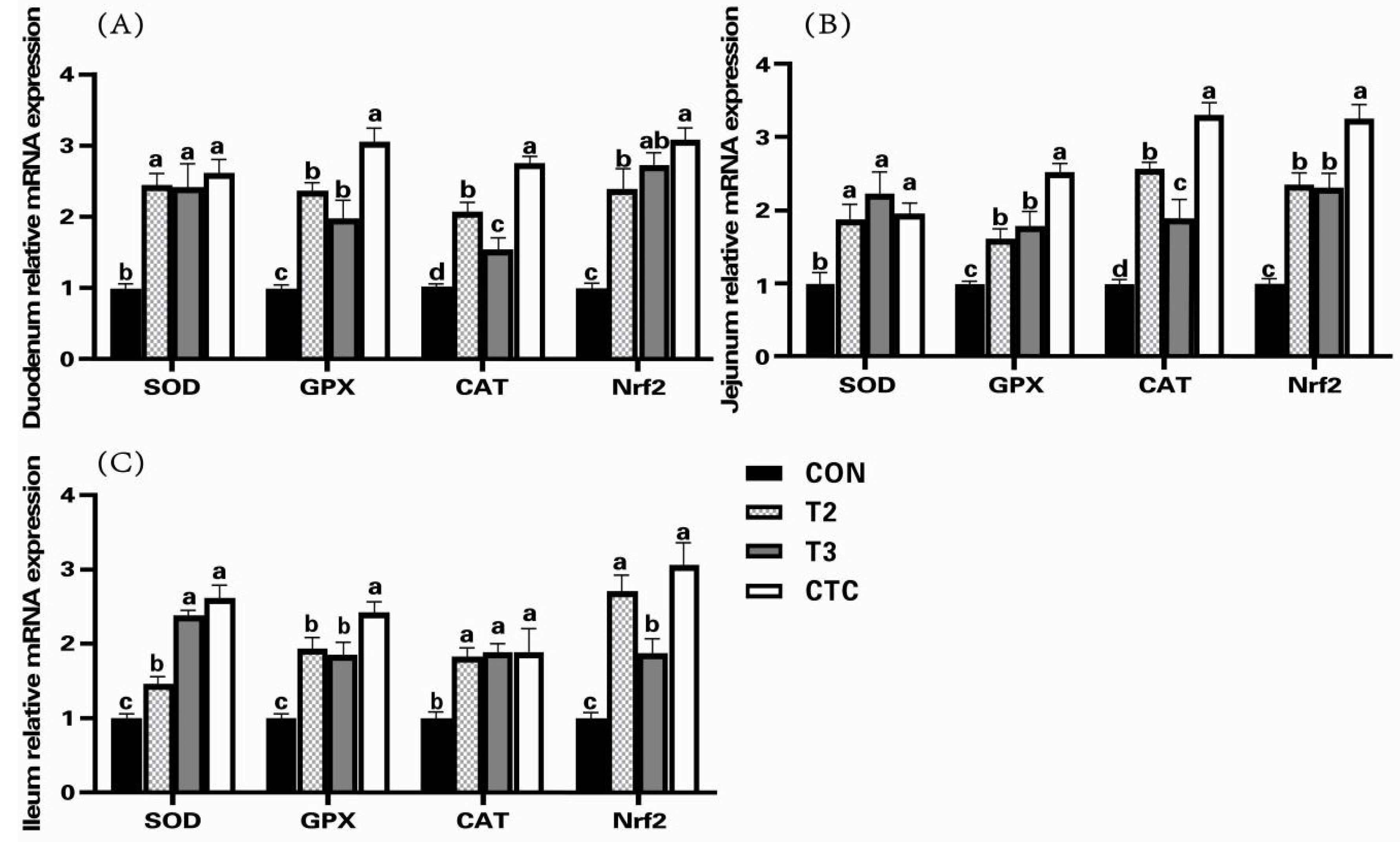 土居 Antifungal activity, main active components and mechanism of