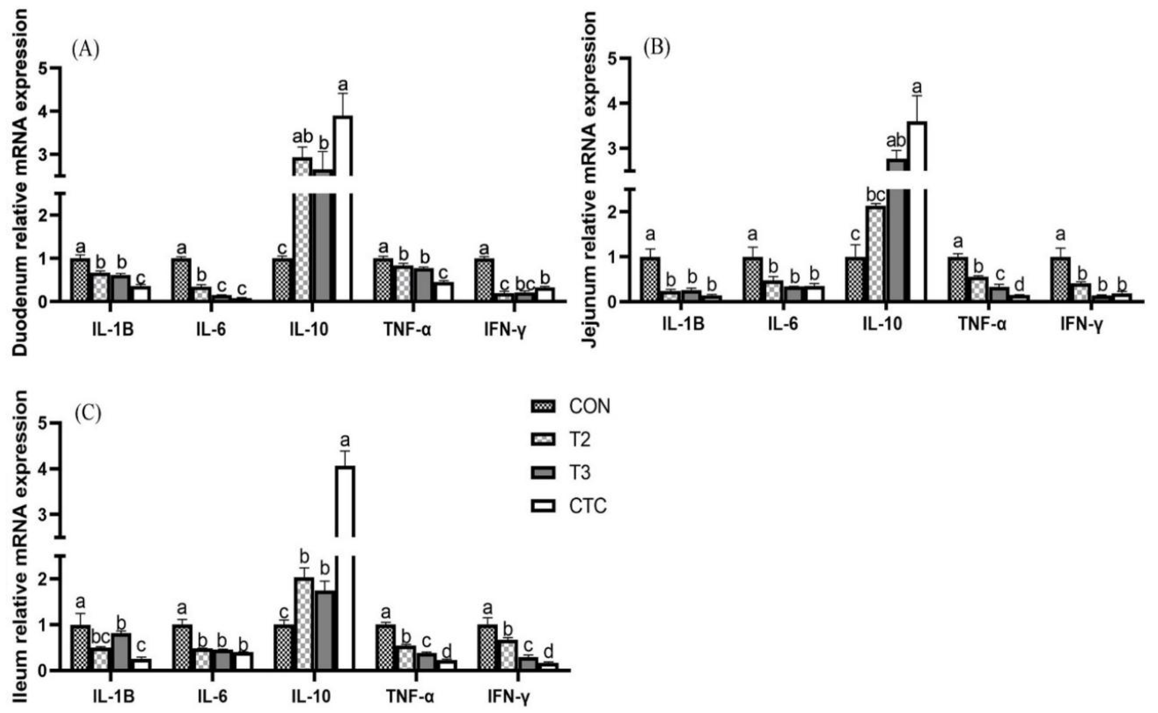 Animals 15 00467 g002