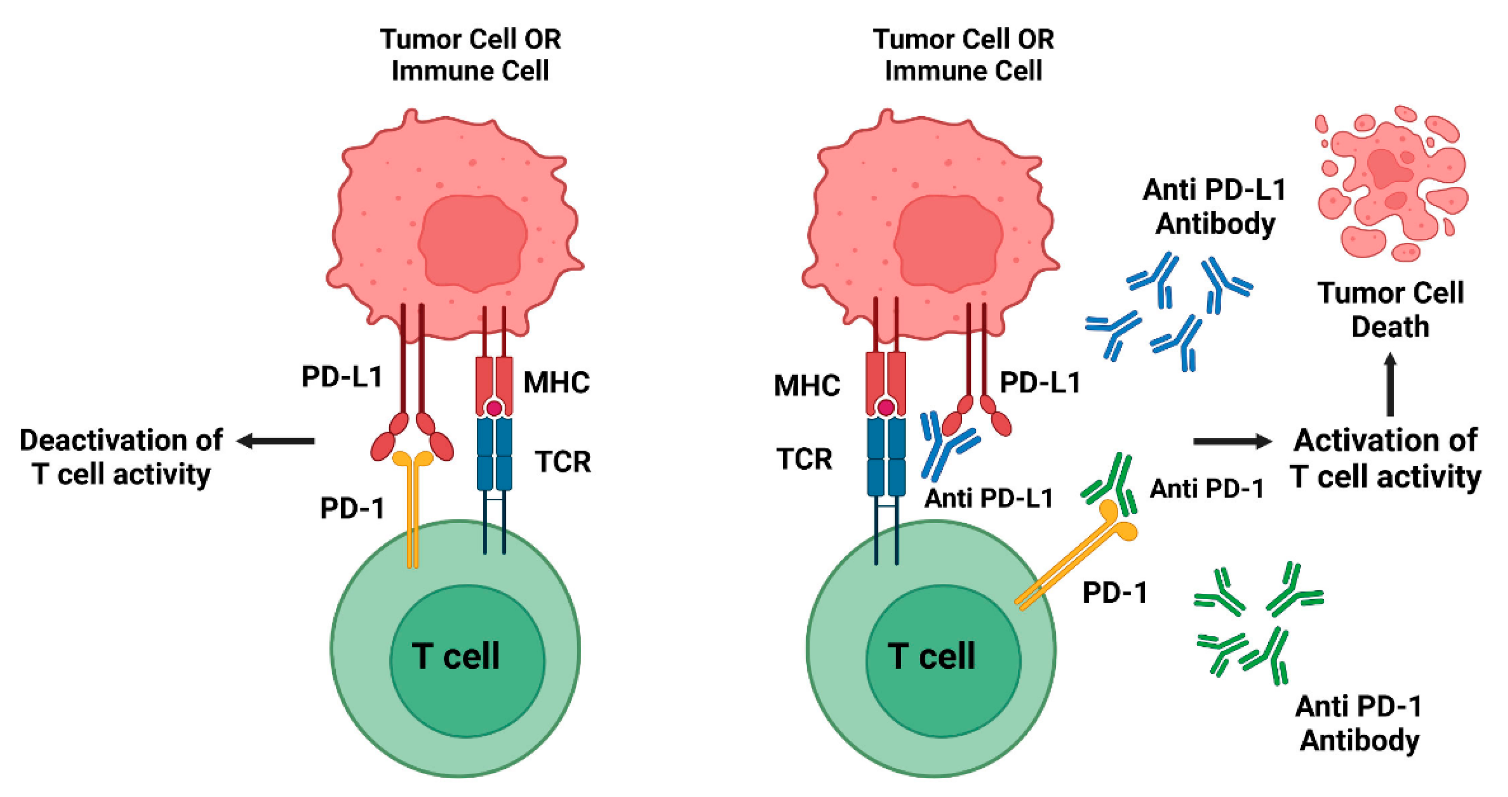 Animals 15 00472 g005