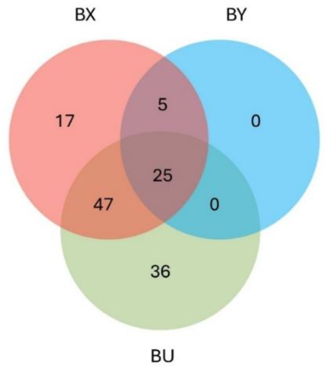 Animals 15 00484 g002