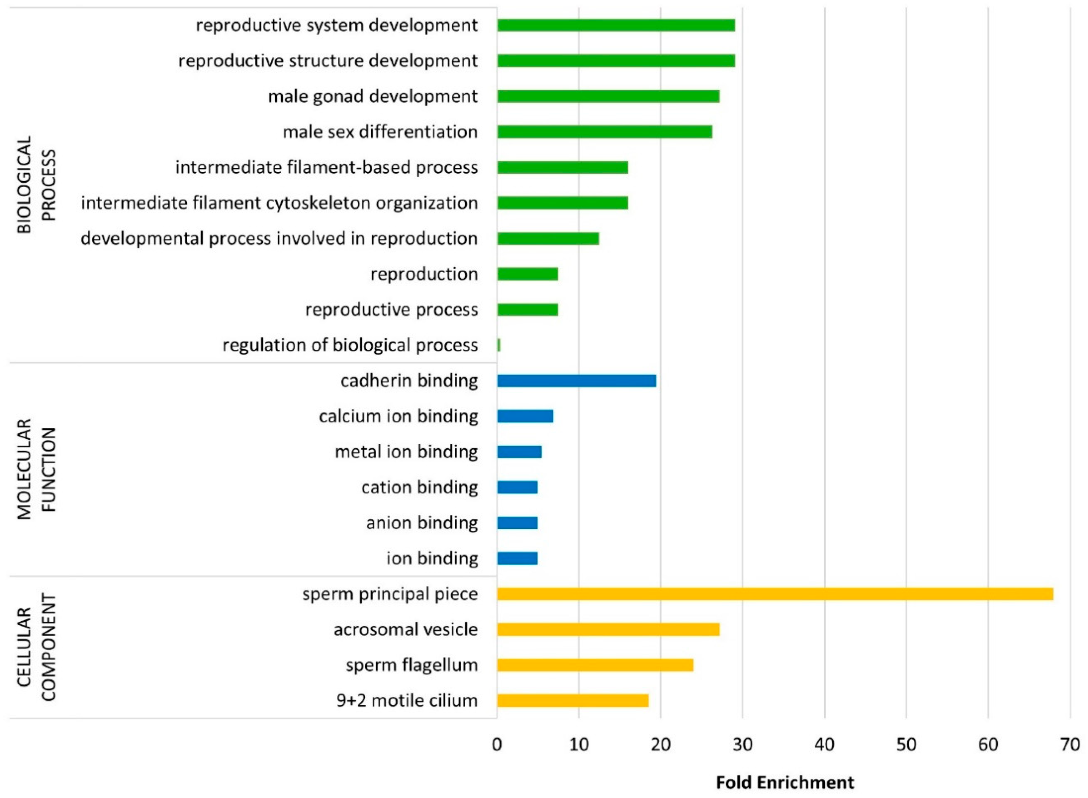 Animals 15 00484 g003