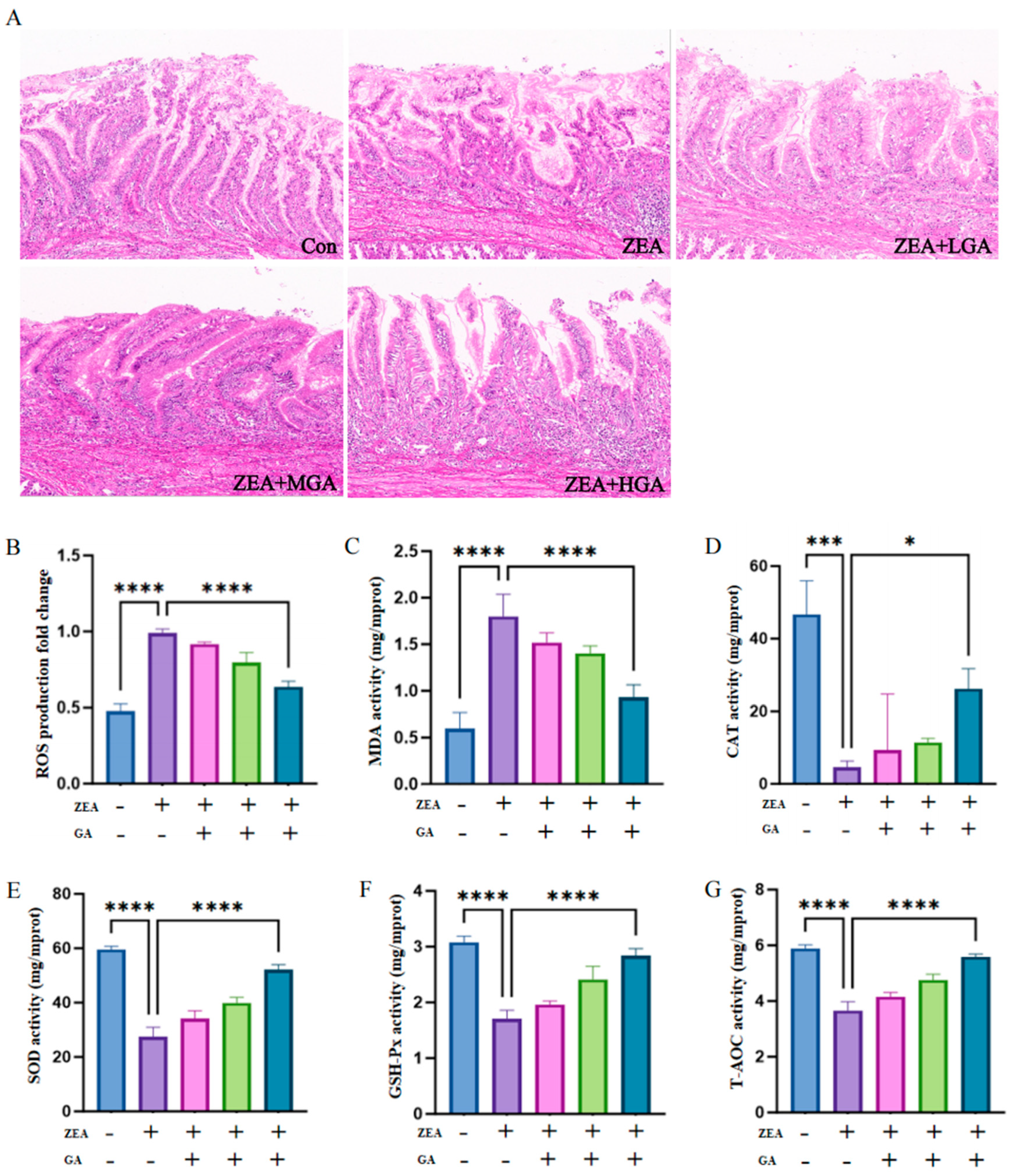 Animals 15 00489 g001