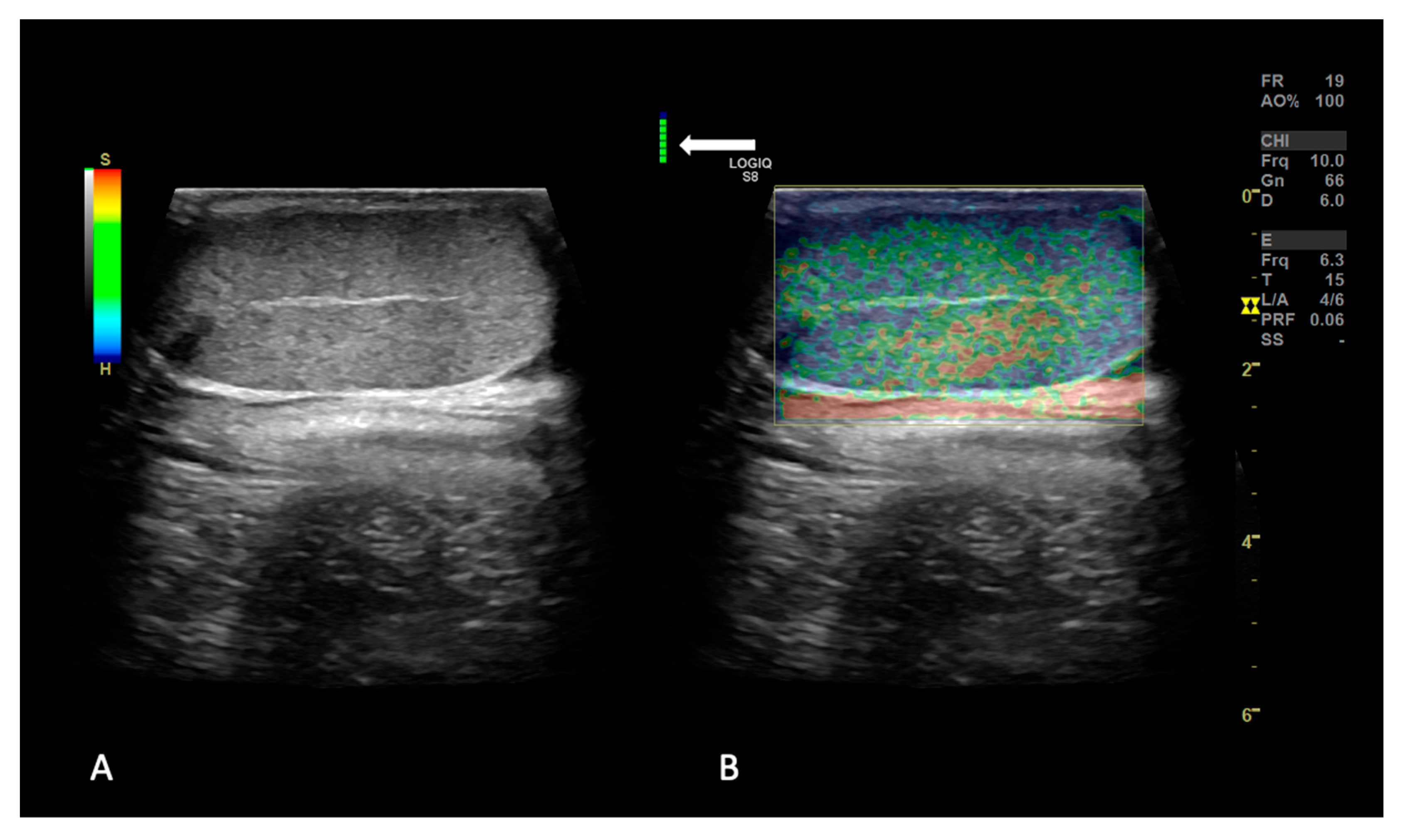 Animals 15 00498 g002