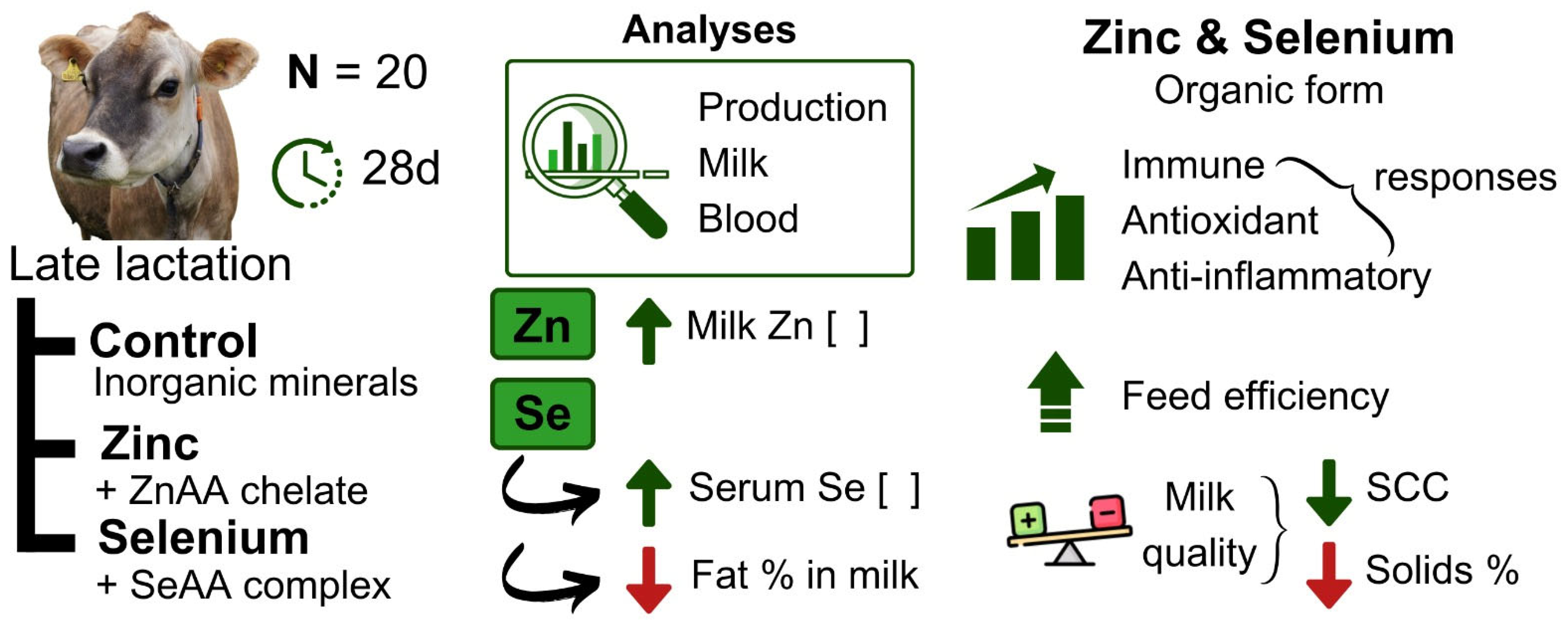 Animals 15 00499 g002