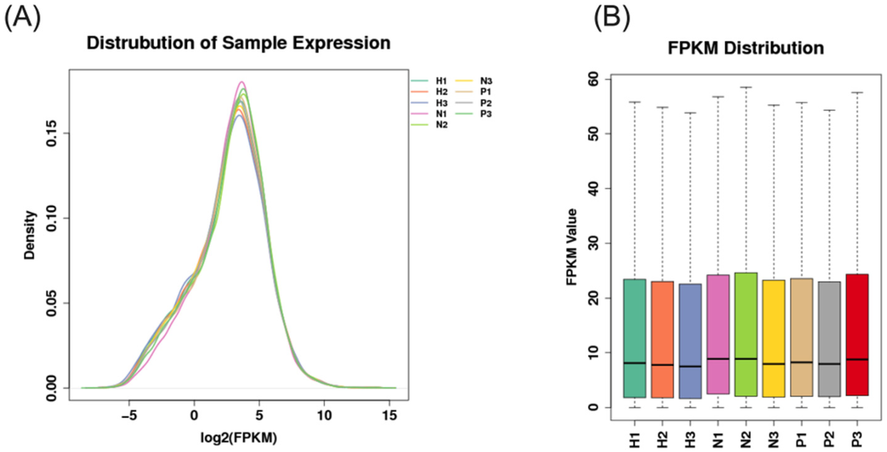 Animals 15 00502 g003