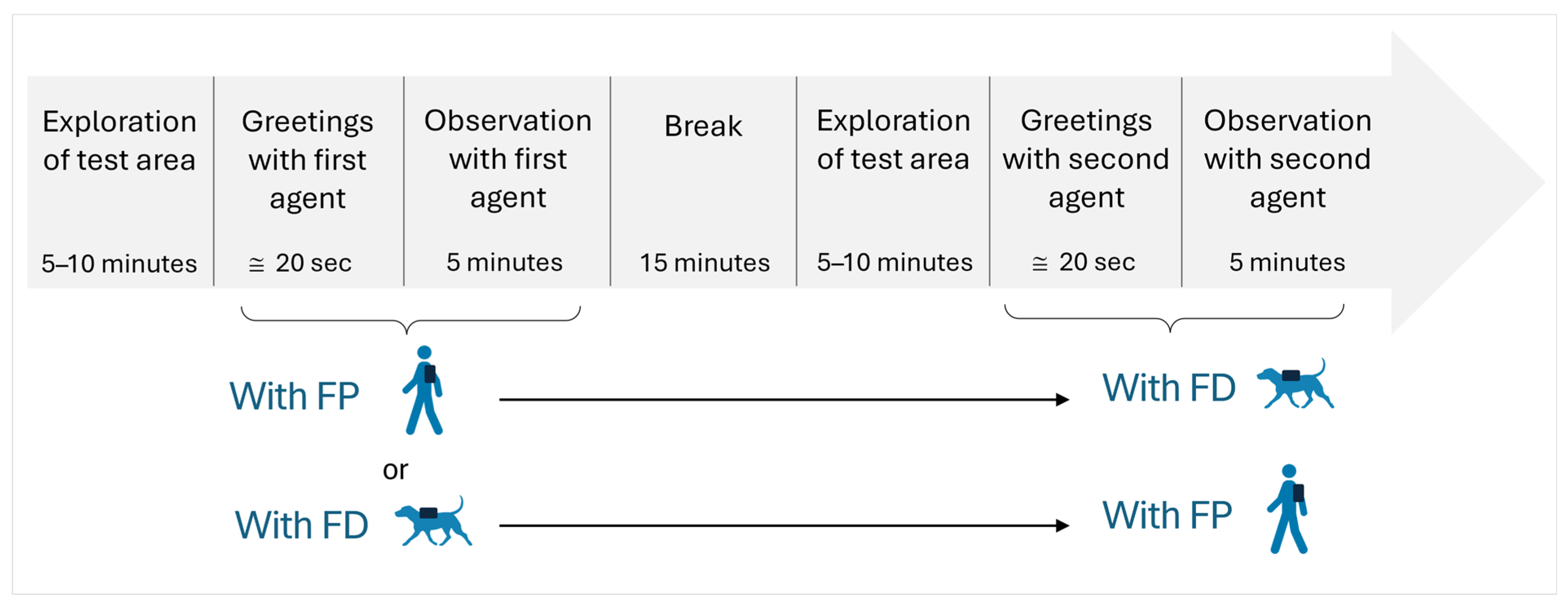 Animals 15 00505 g002