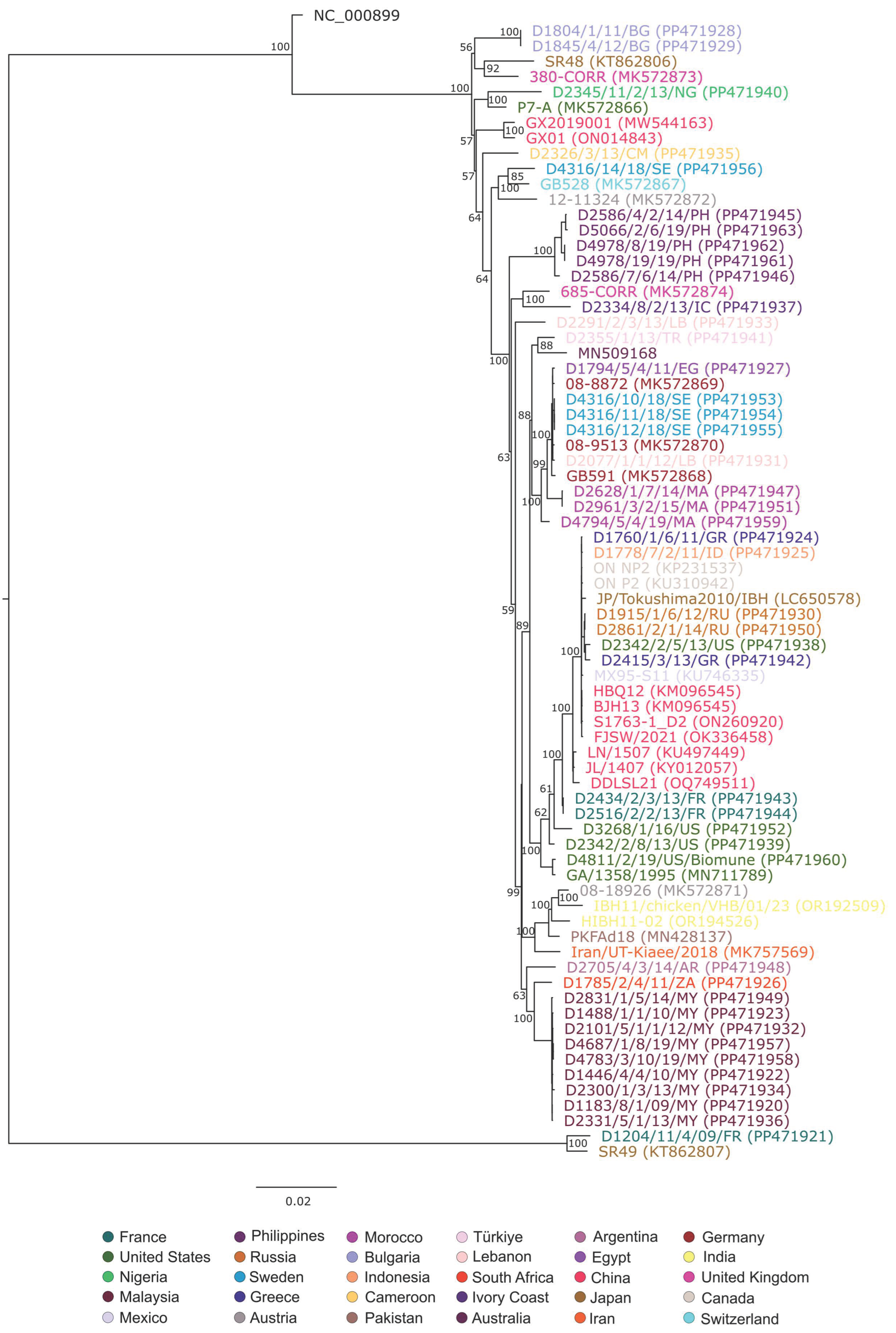 Animals 15 00508 g001