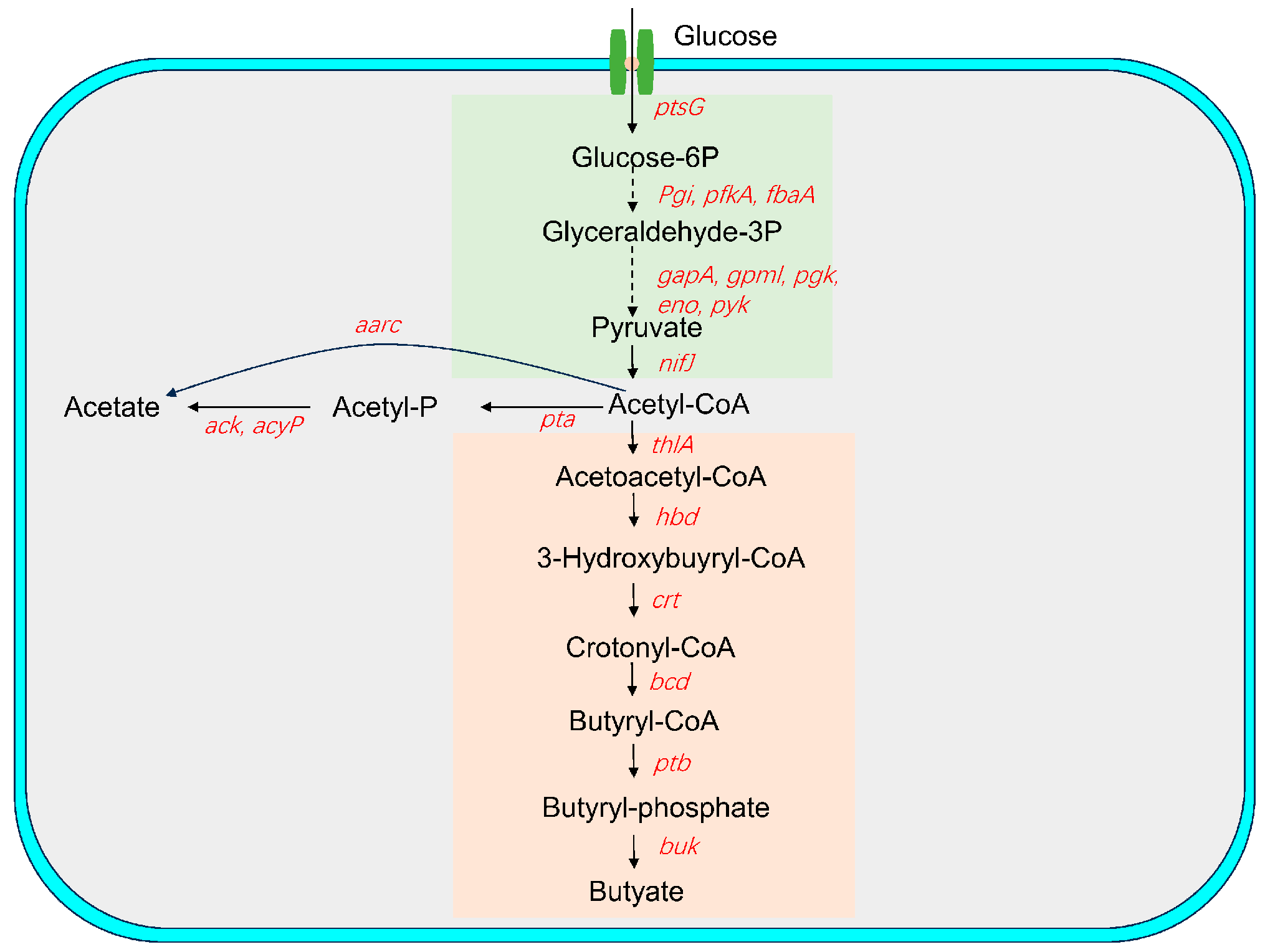 Animals 15 00511 g007