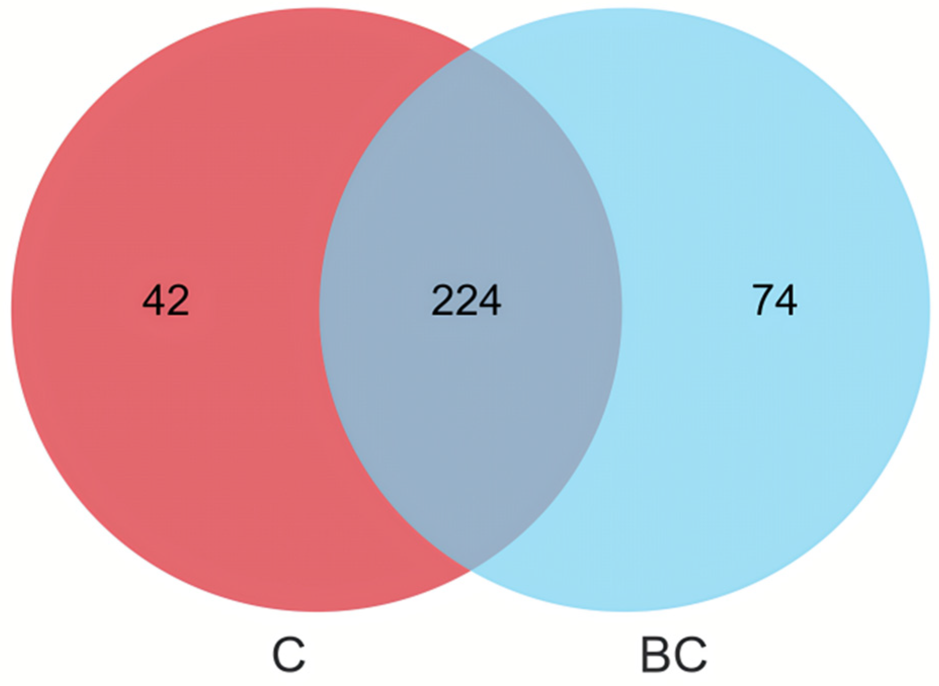 Animals 15 00515 g002