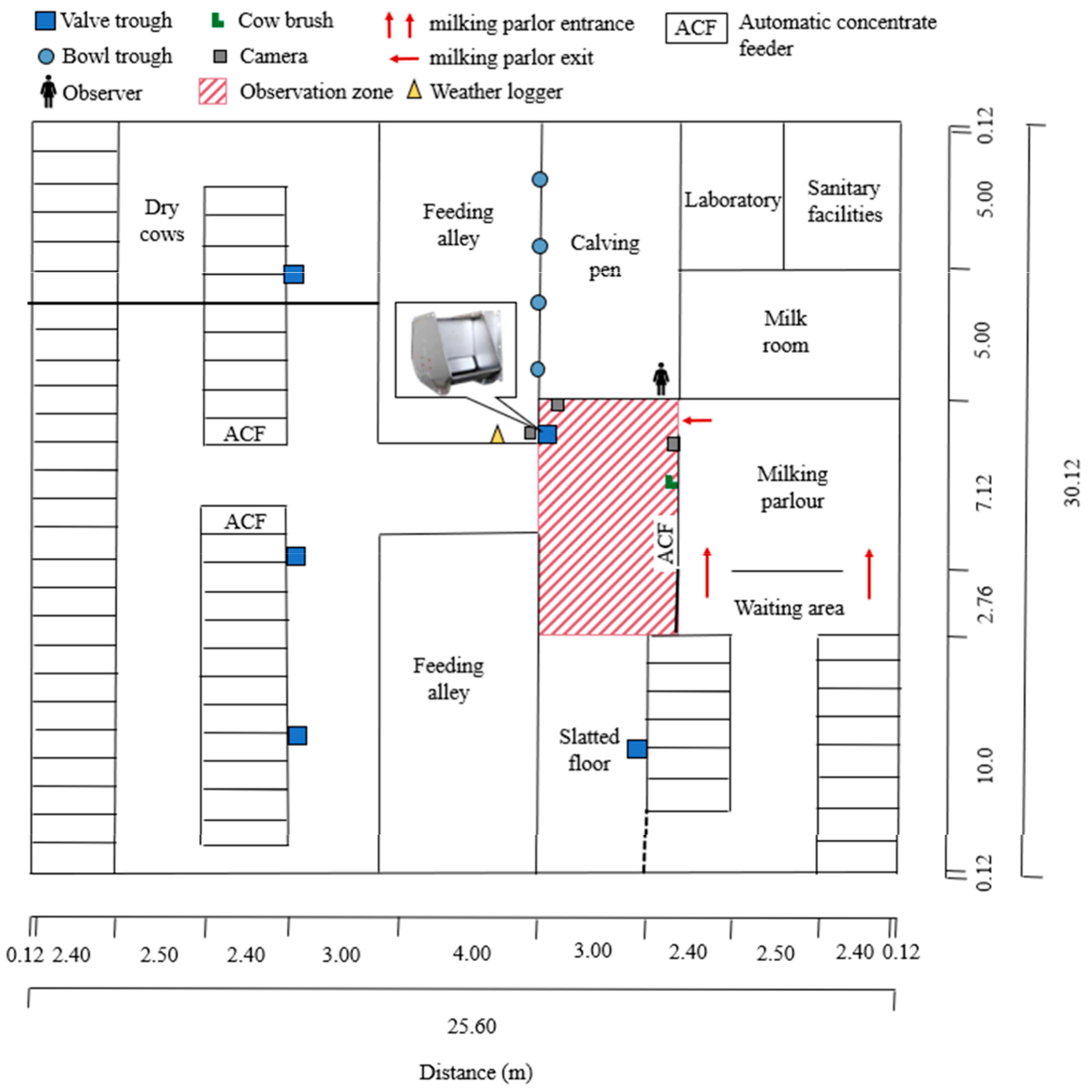 Animals 15 00534 g001