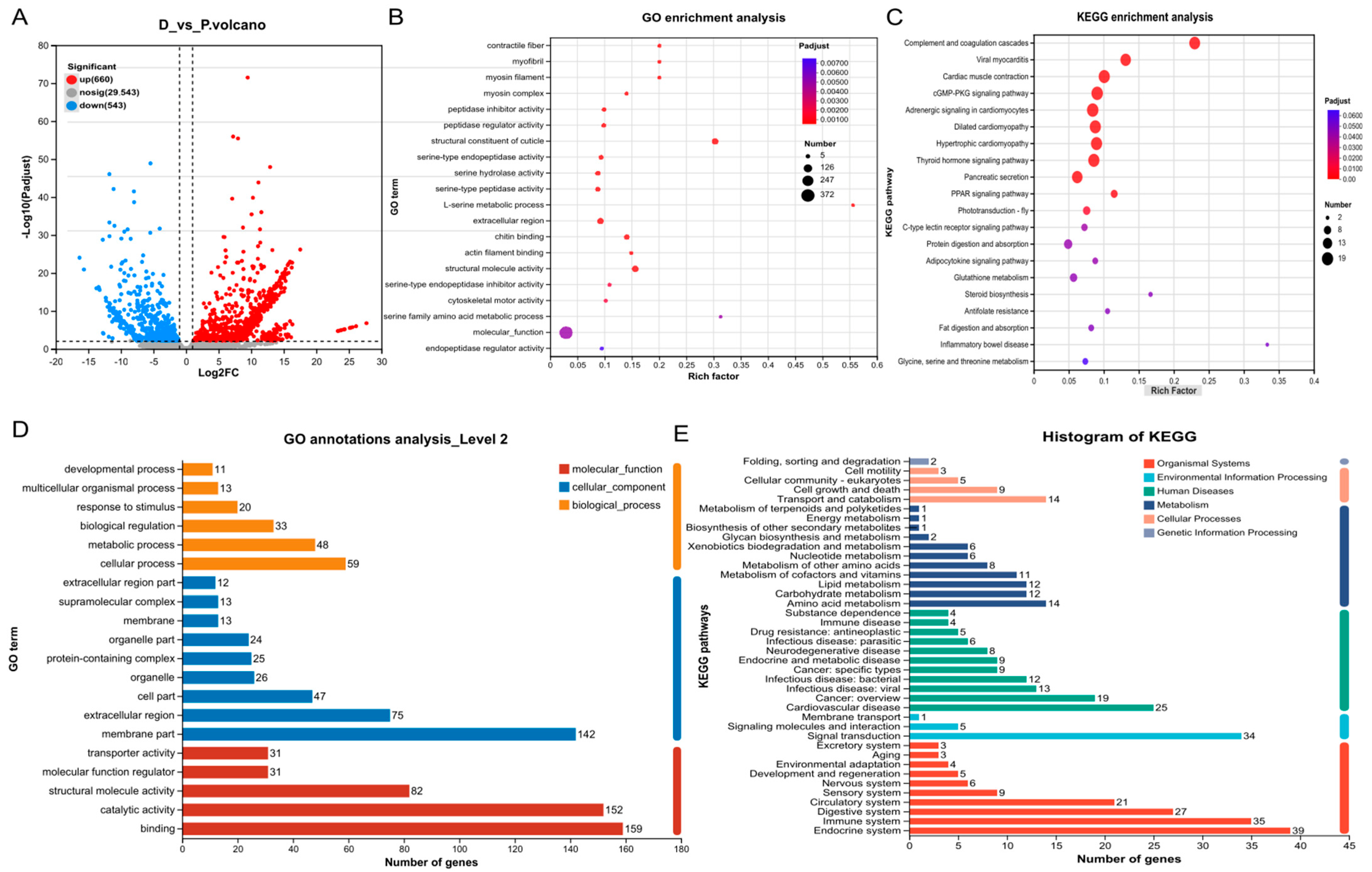 Animals 15 00540 g001