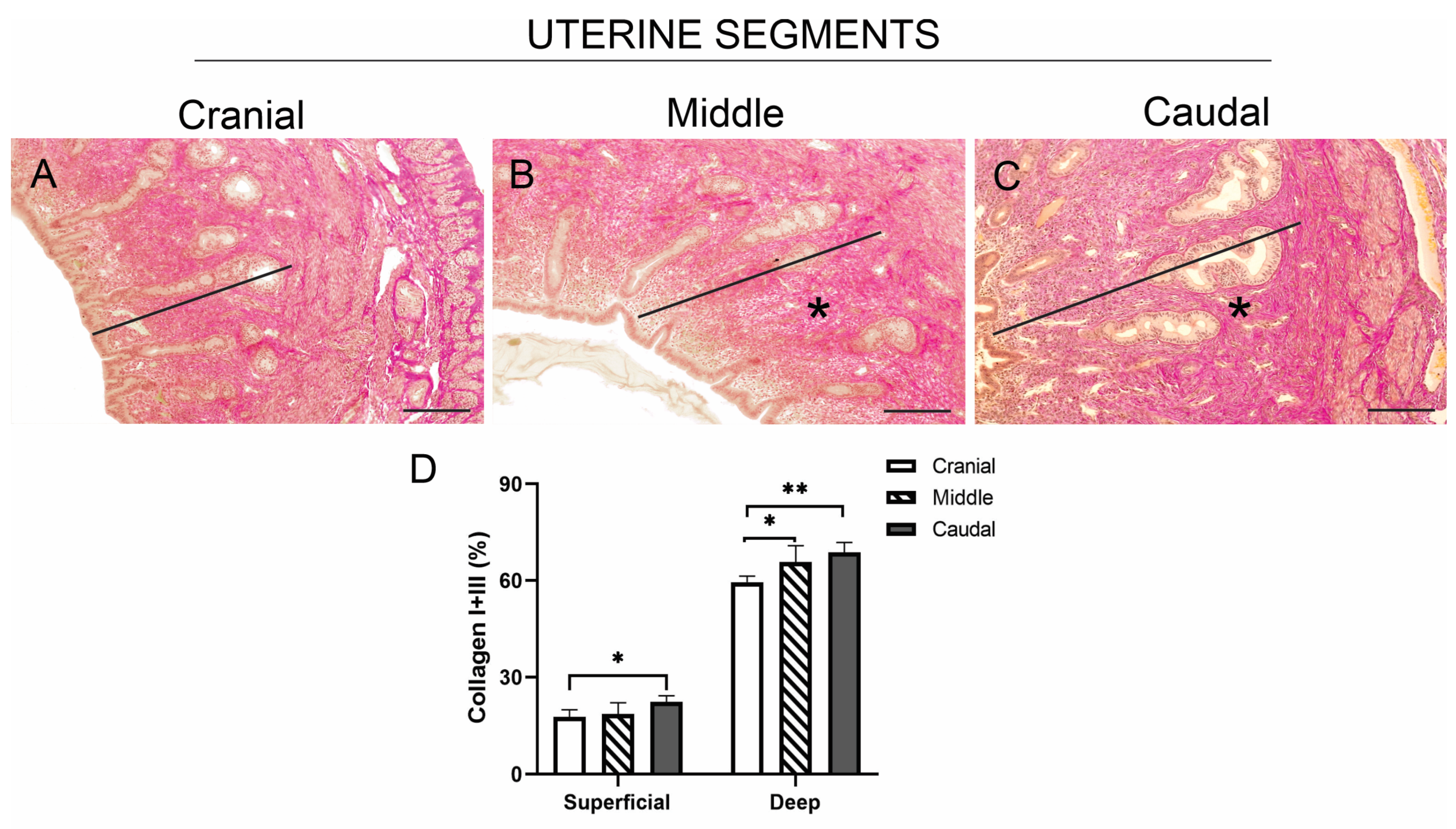 Animals 15 00542 g003 Animals 15 00542 g003