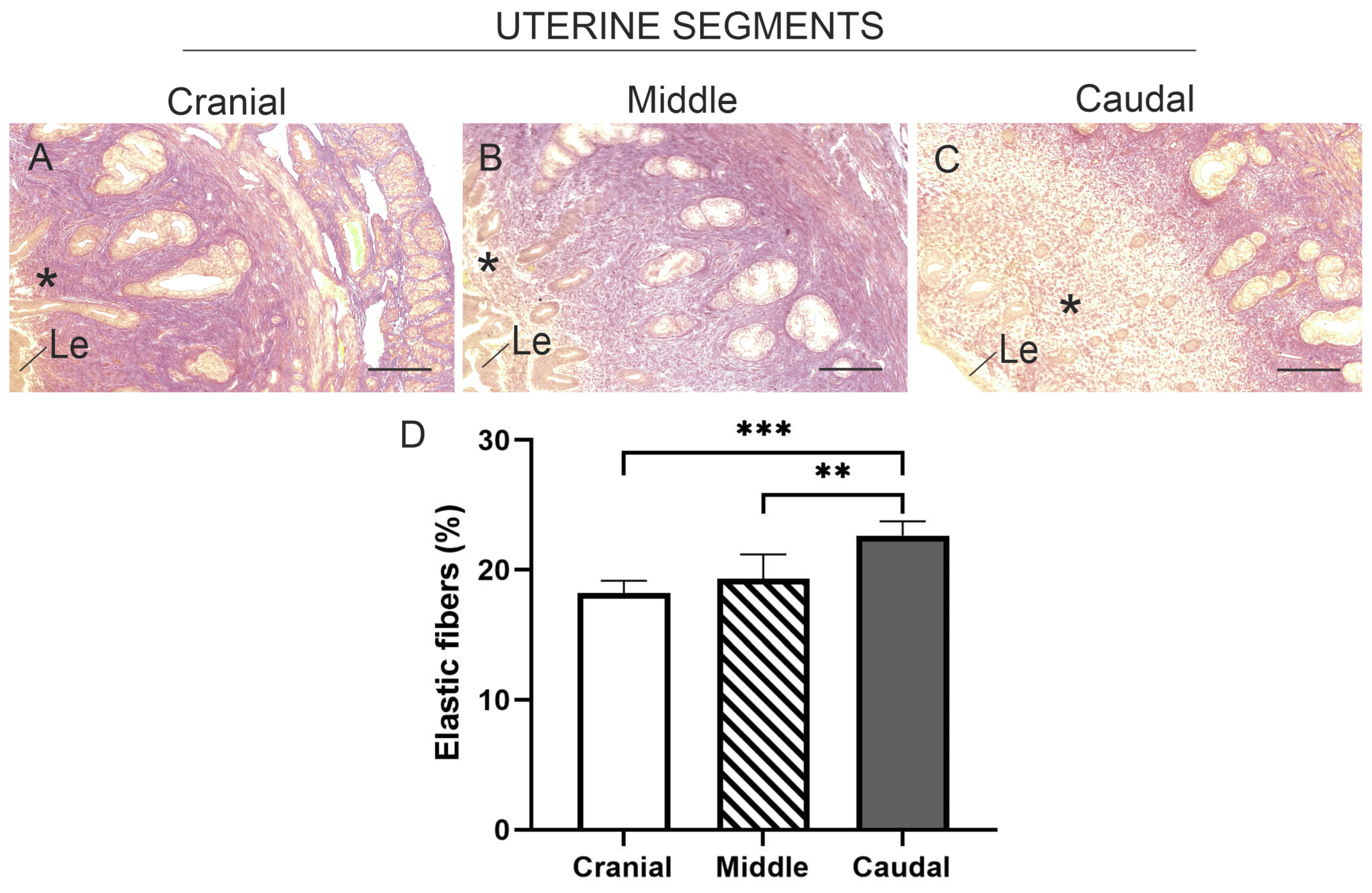 Animals 15 00542 g005 Animals 15 00542 g005