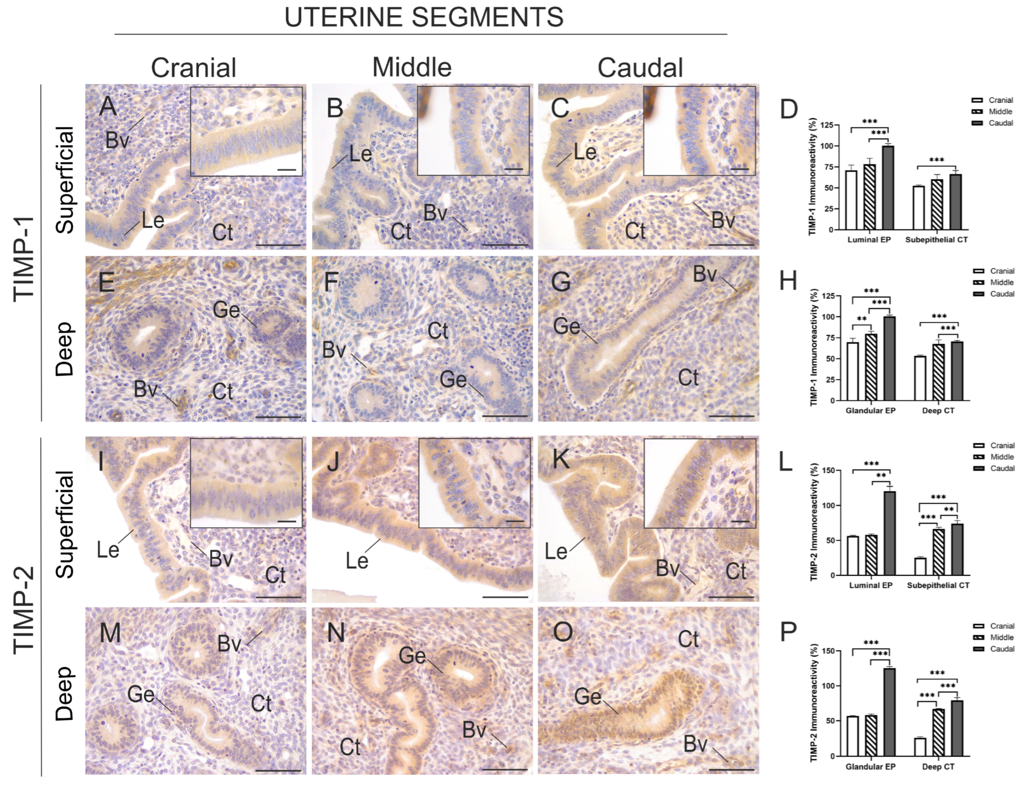 Animals 15 00542 g007 Animals 15 00542 g007