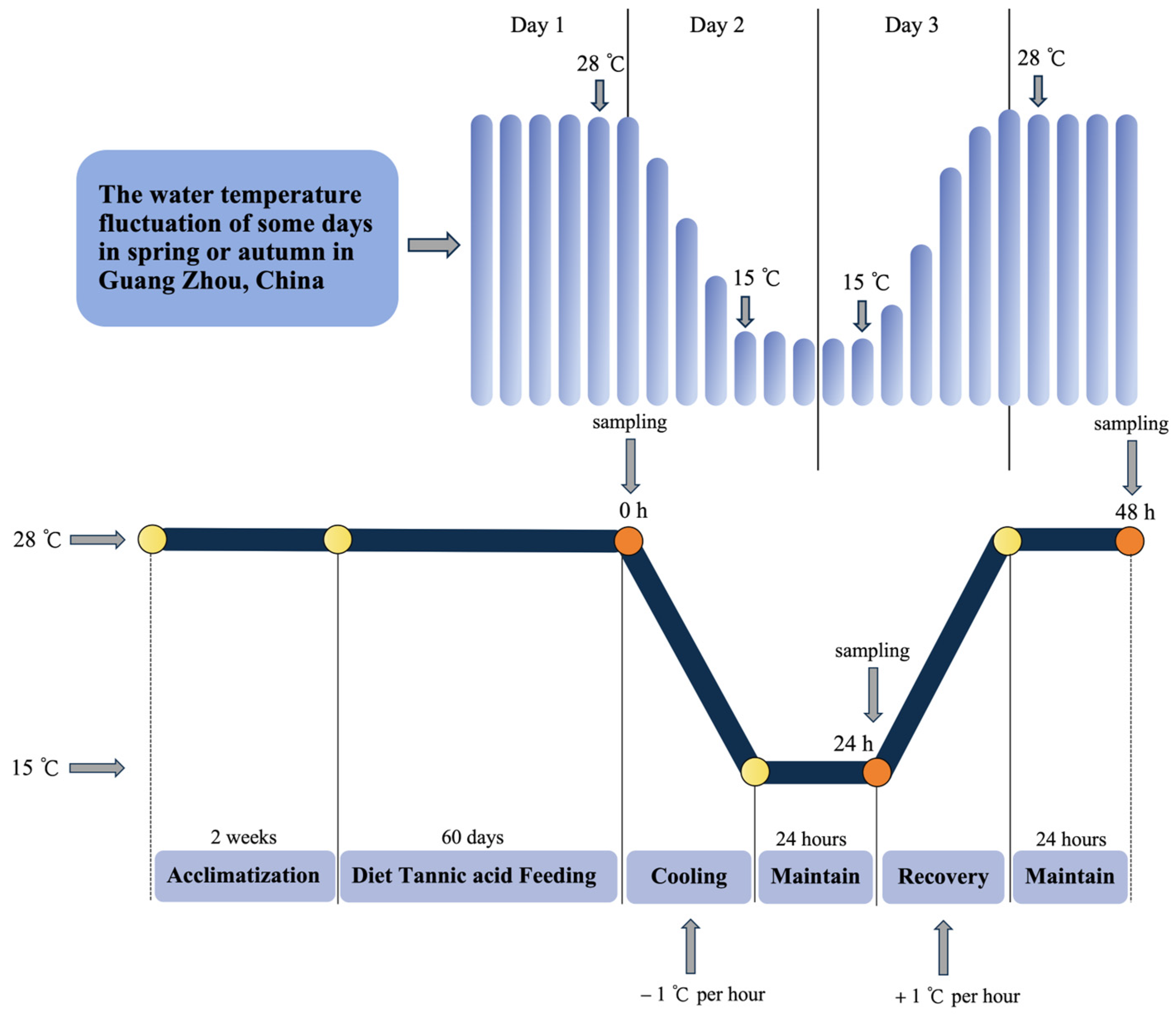 Animals 15 00544 g001