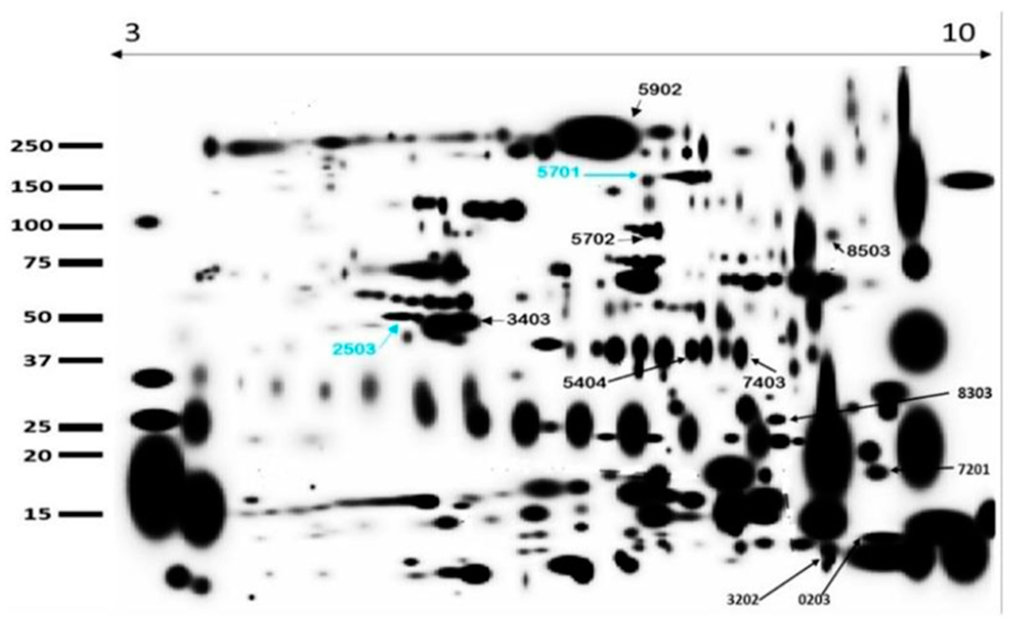 Animals 15 00555 g003 Animals 15 00555 g003