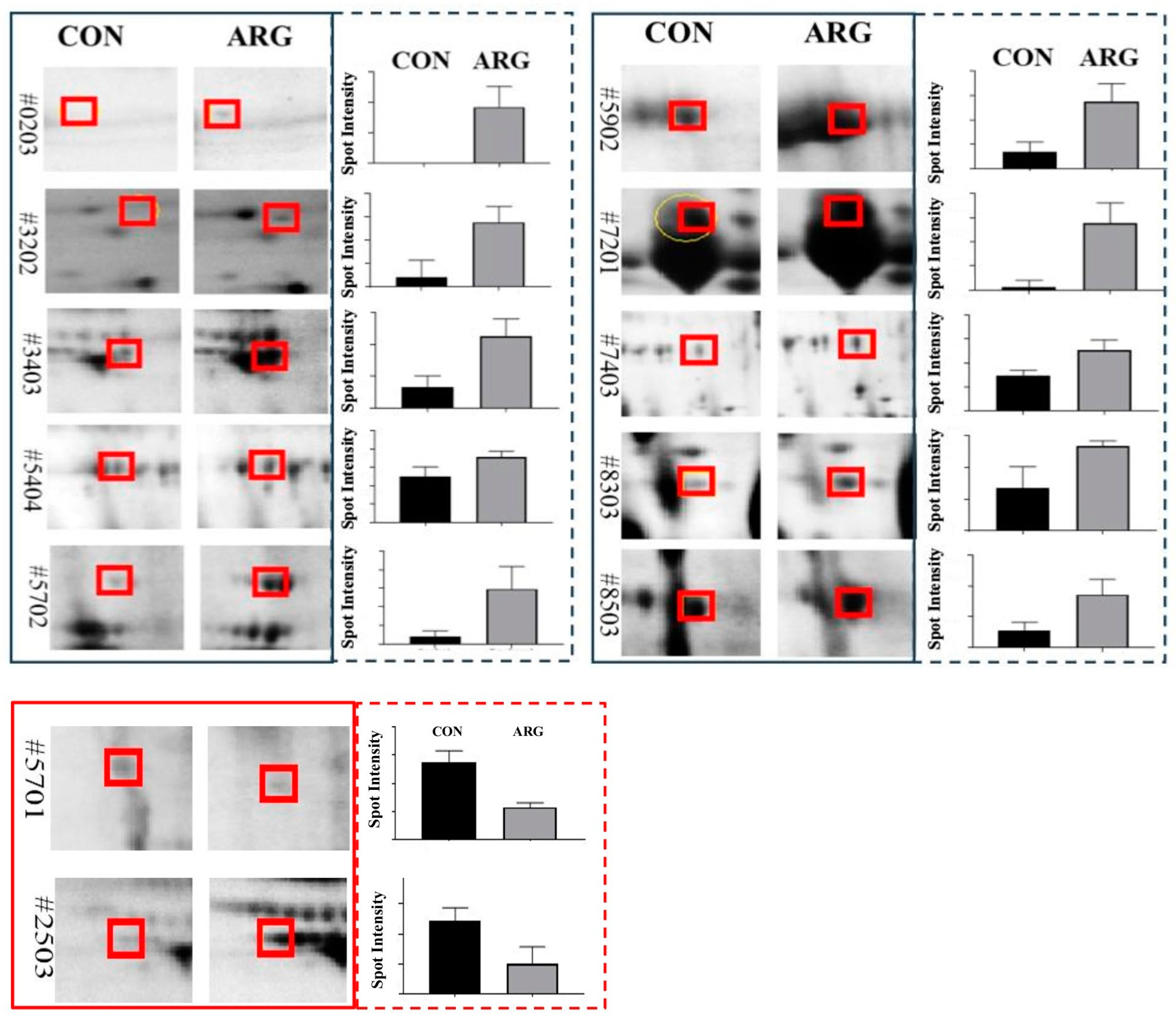 Animals 15 00555 g004 Animals 15 00555 g004