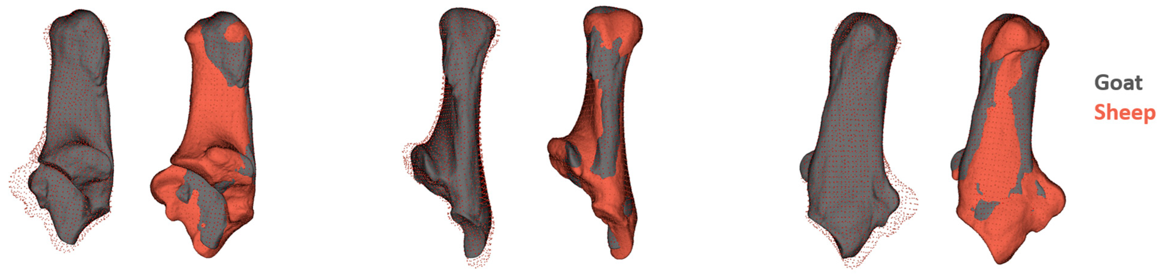 Animals 15 00556 g003