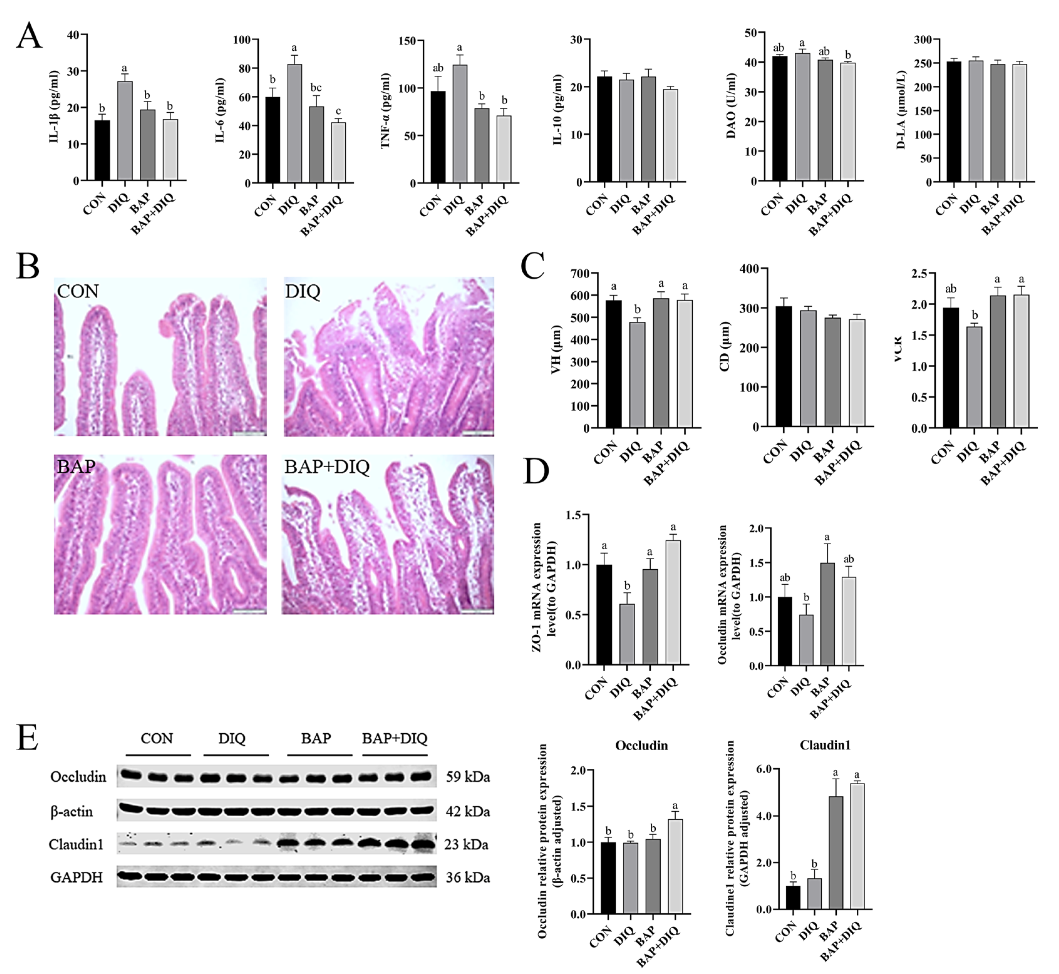 Animals 15 00559 g001