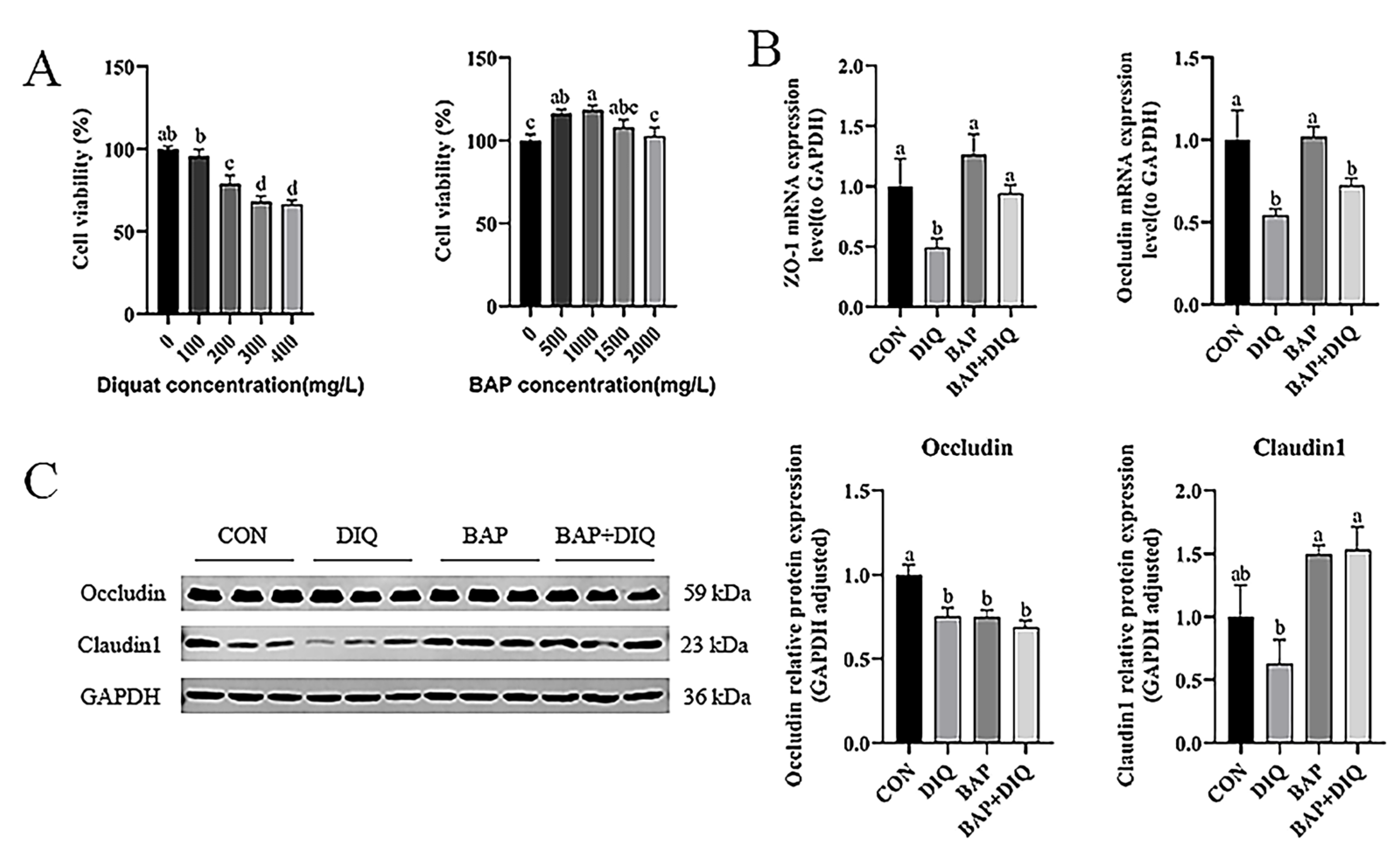 Animals 15 00559 g003