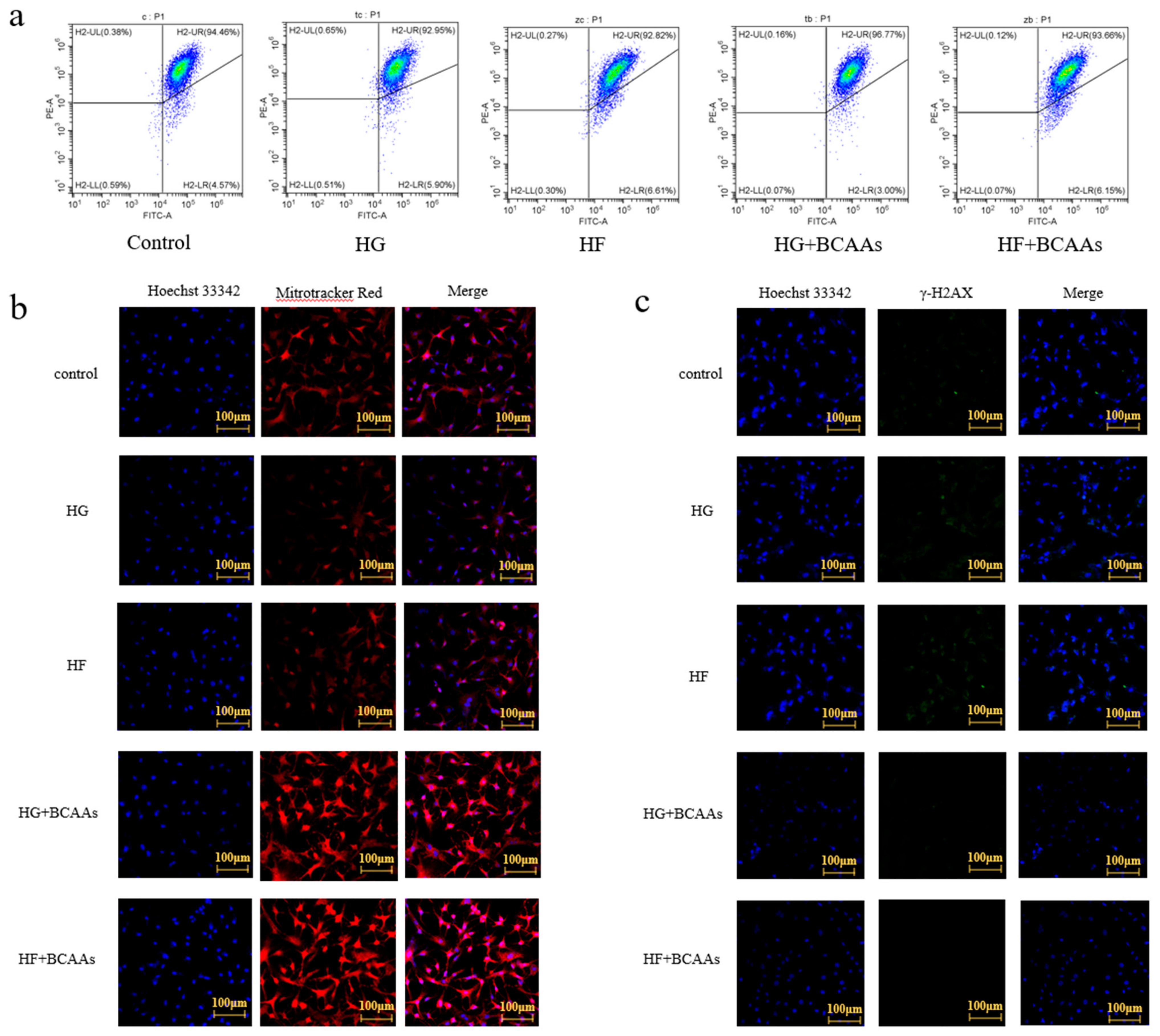Animals 15 00560 g005 Animals 15 00560 g005