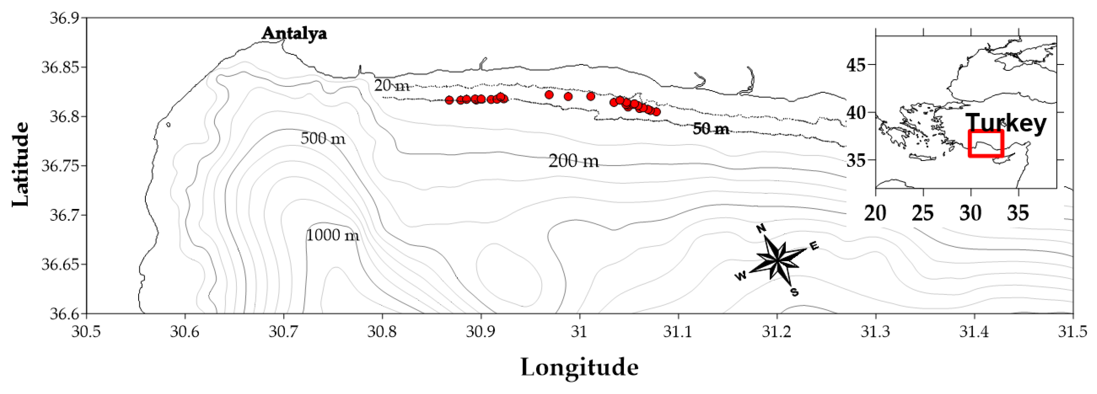 Animals 15 00561 g001