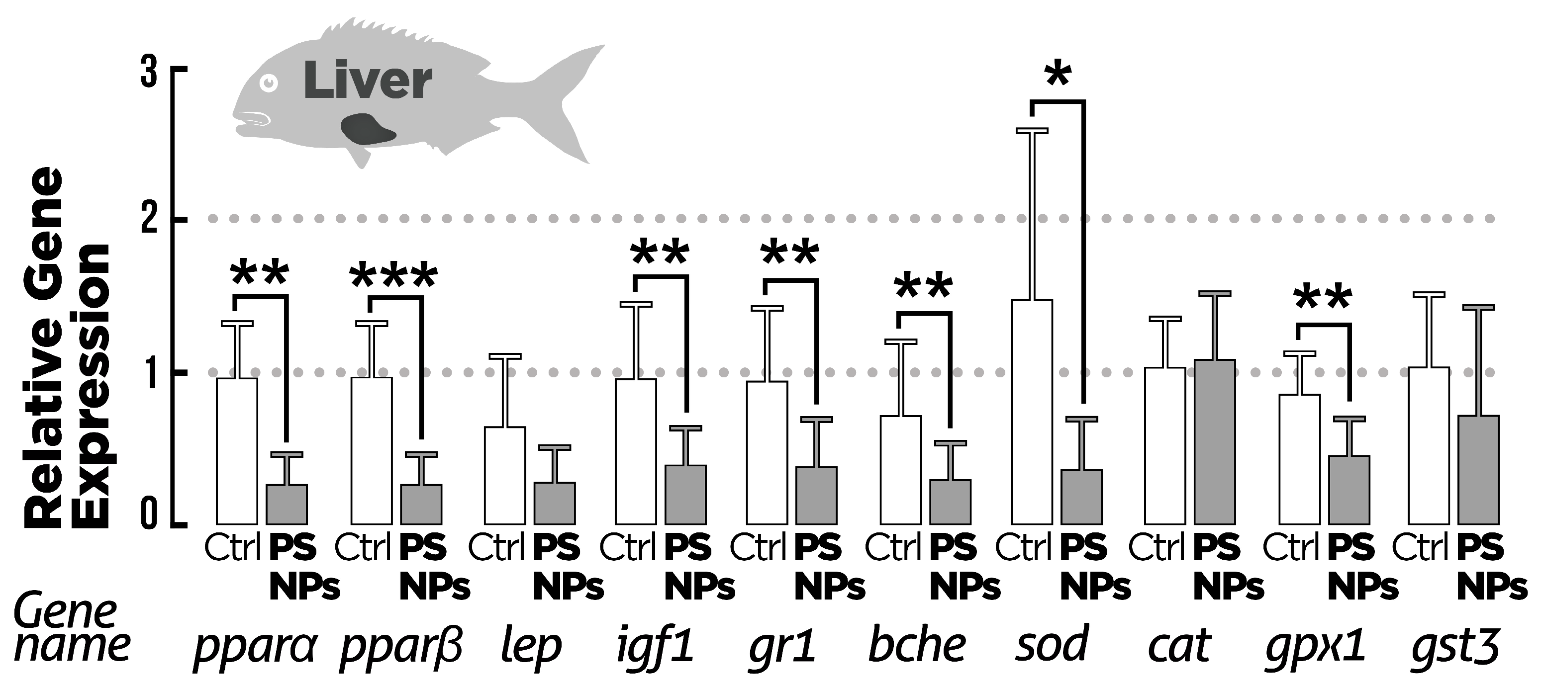 Animals 15 00562 g005