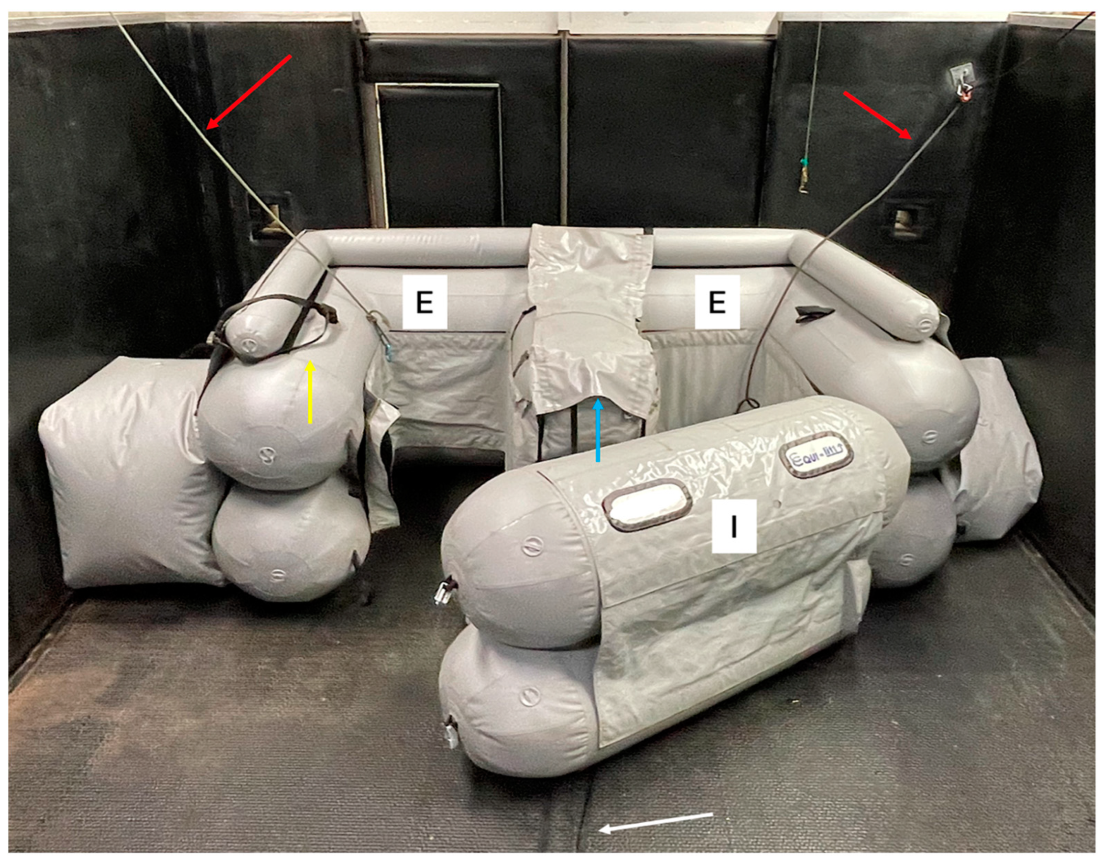 Animals 15 00564 g001