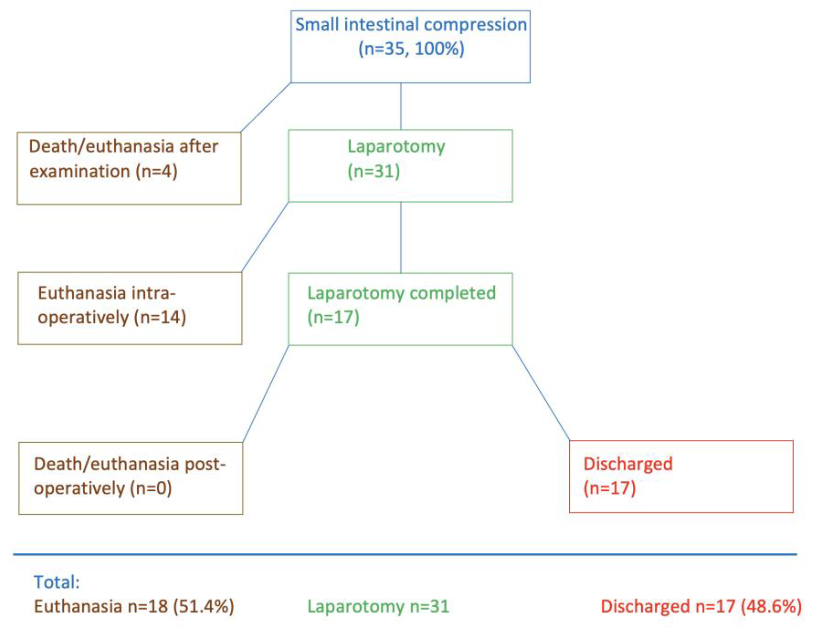 Animals 15 00569 g001