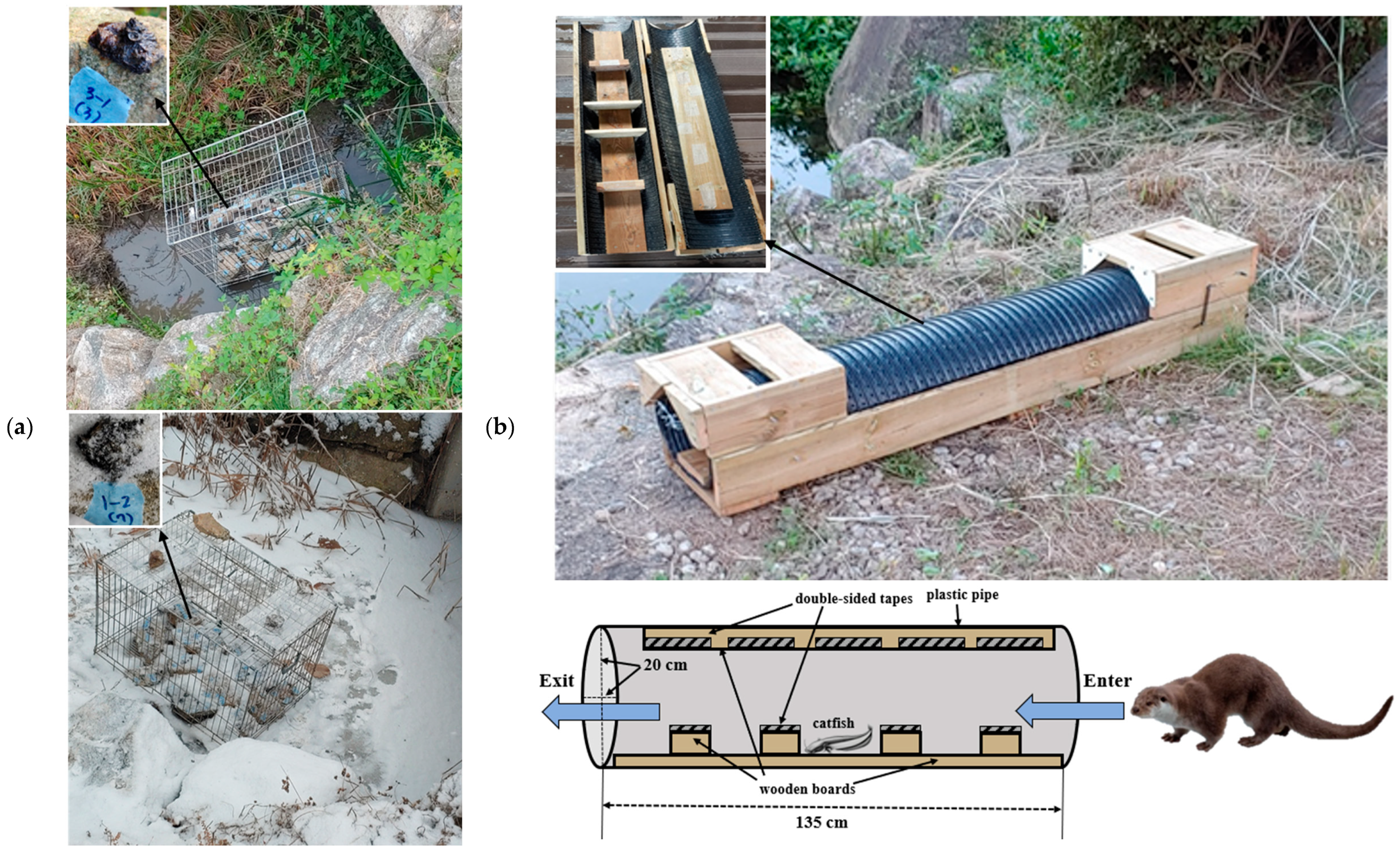 Animals 15 00574 g001 Animals 15 00574 g001