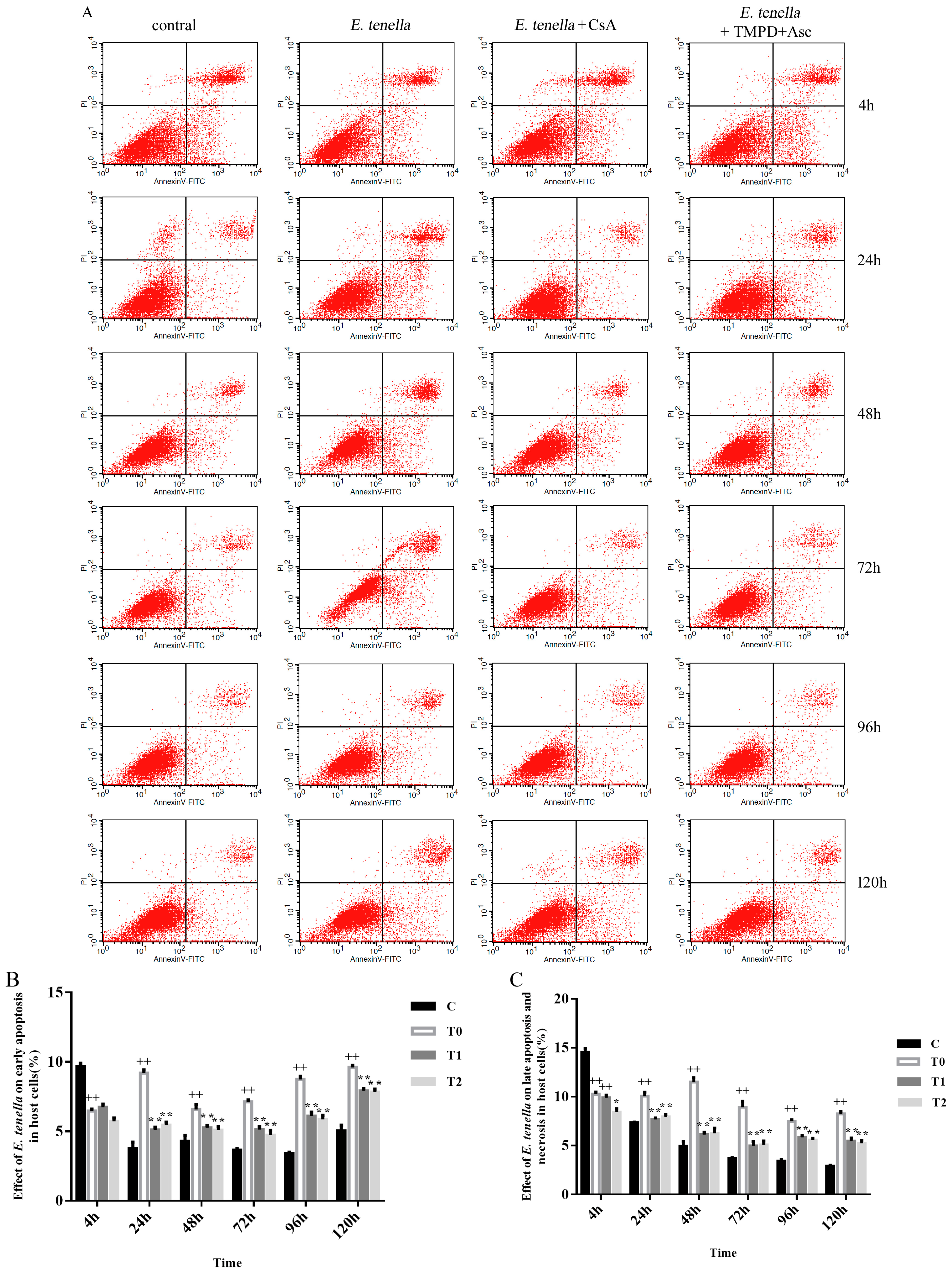 Animals 15 00577 g003