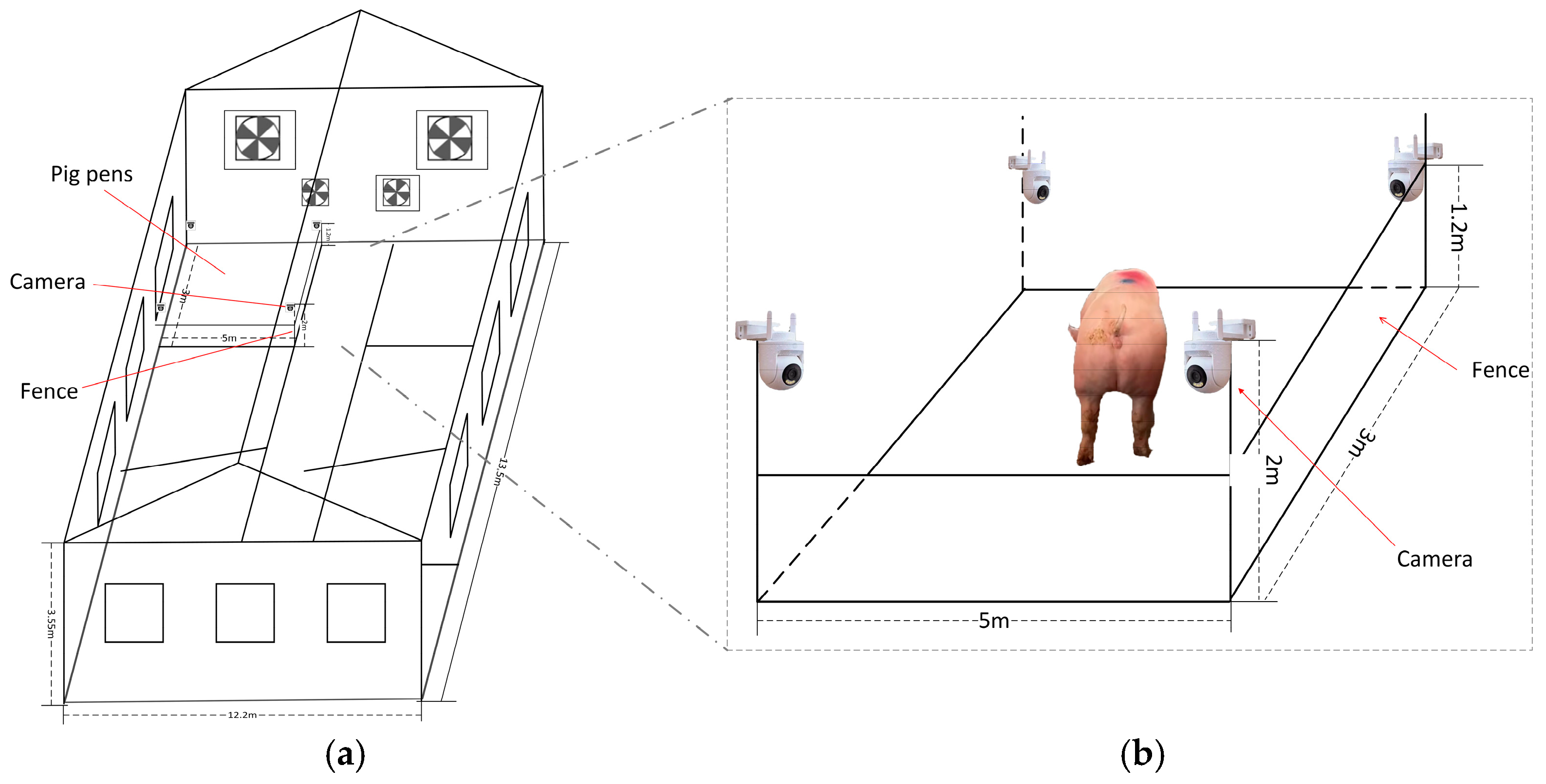 Animals 15 00580 g001