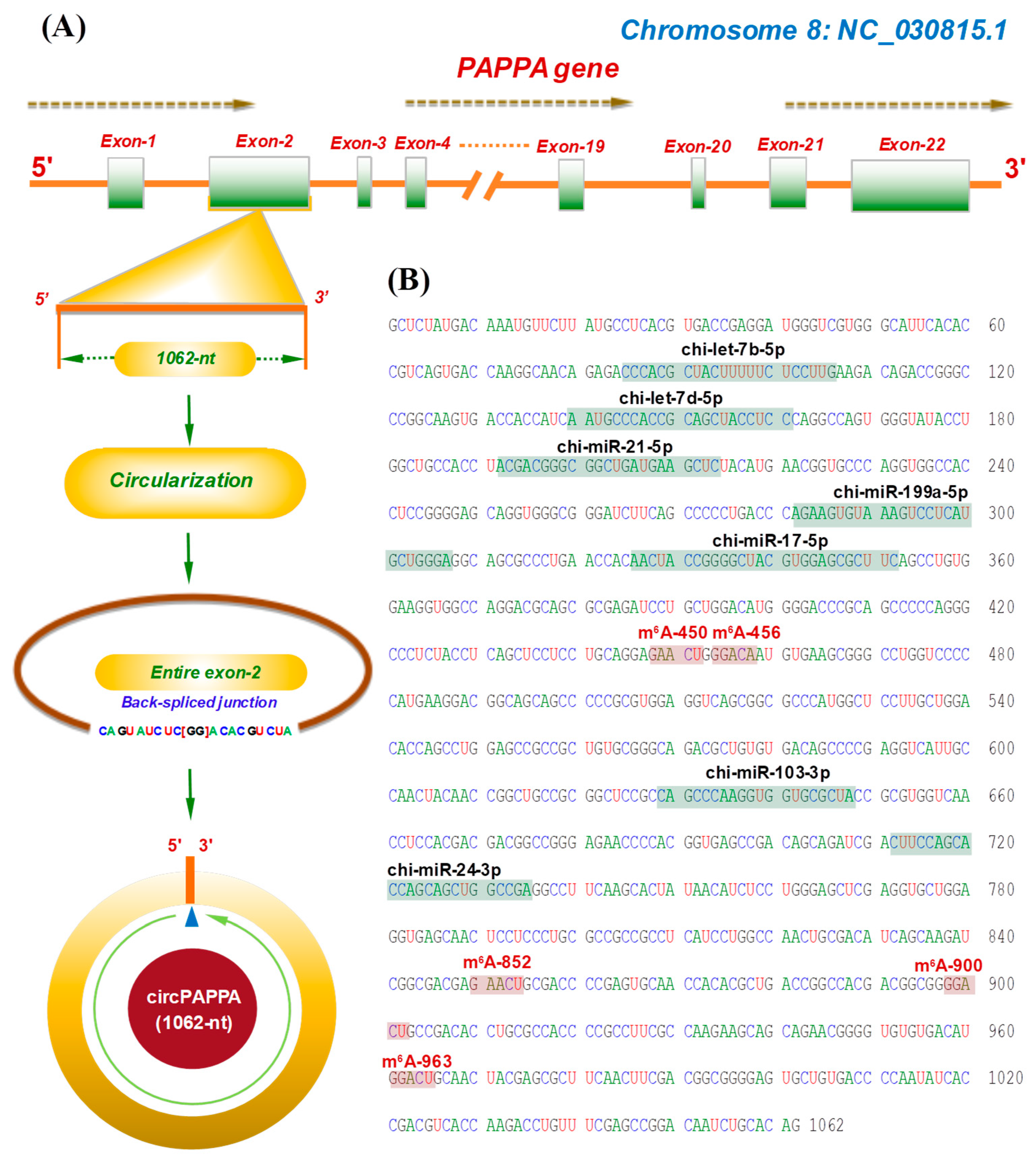 Animals 15 00581 g001