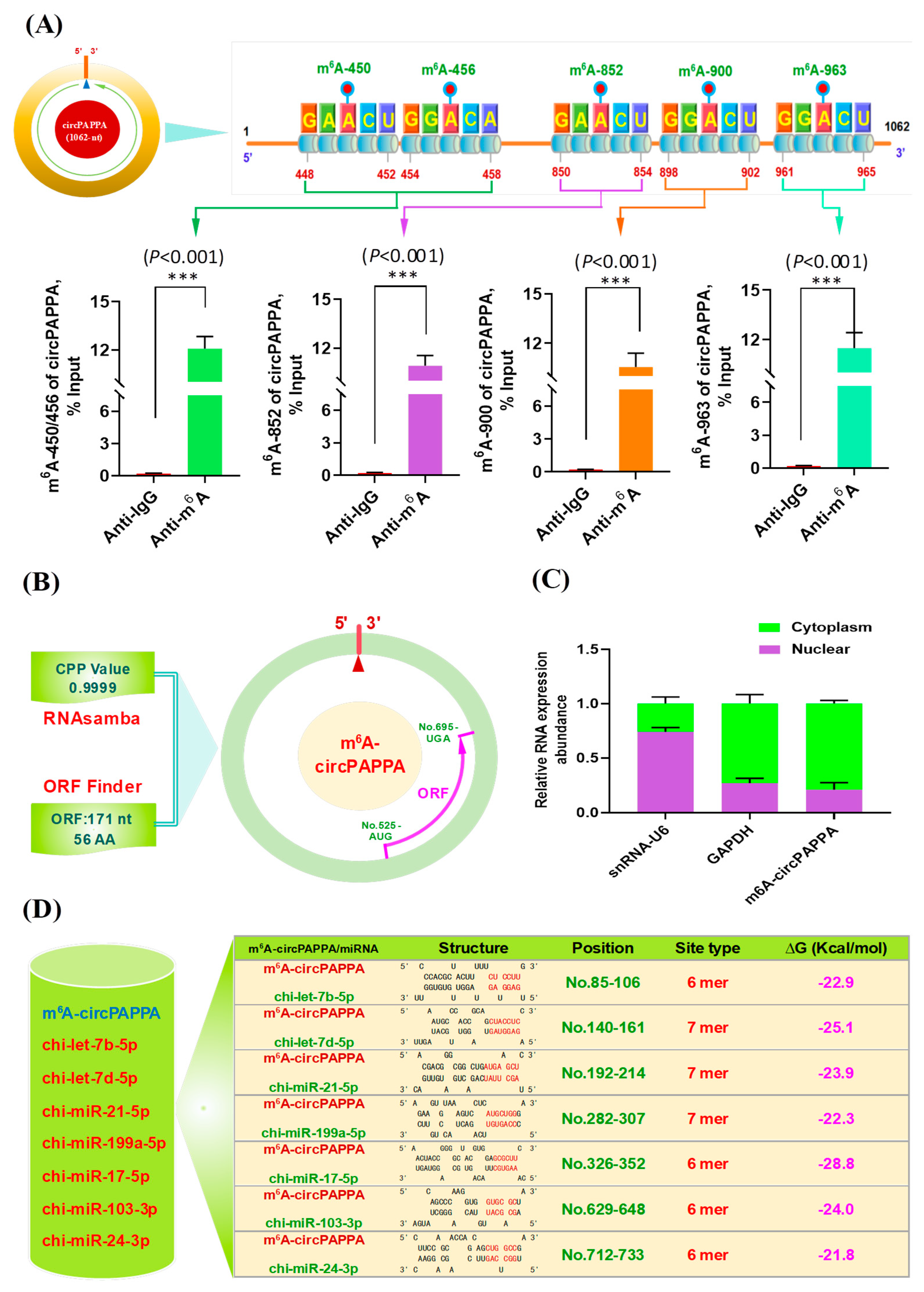 Animals 15 00581 g002