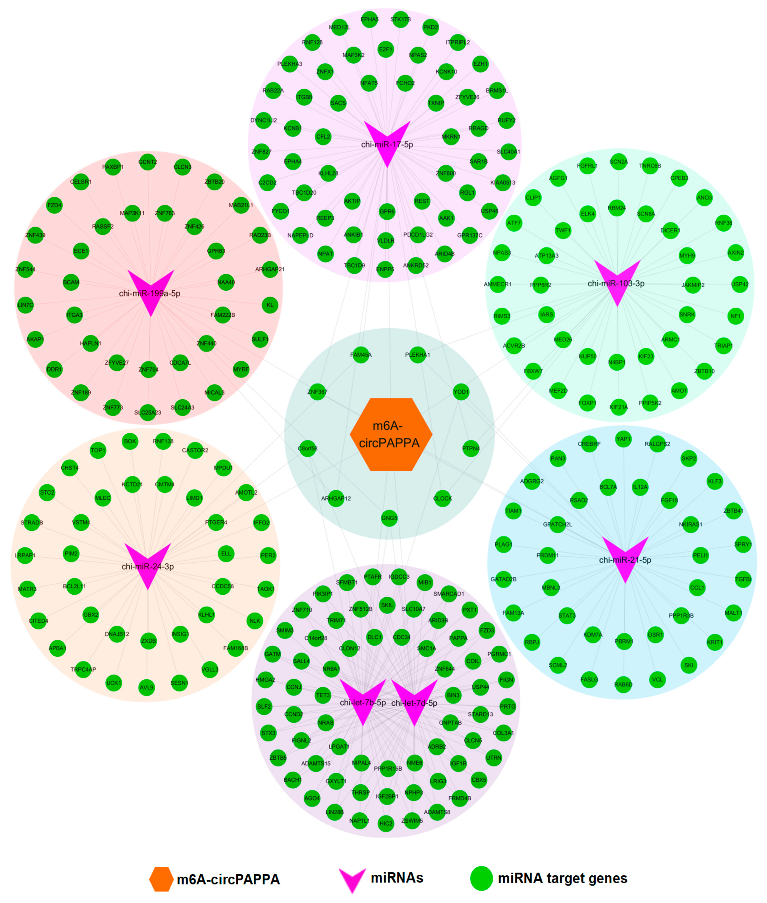 Animals 15 00581 g003