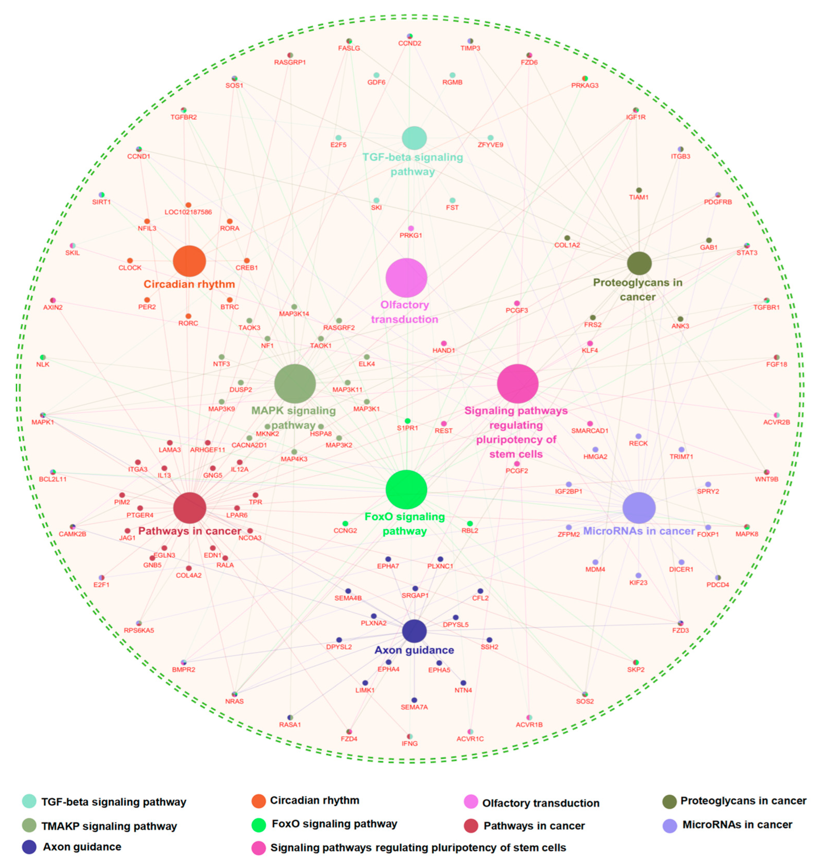 Animals 15 00581 g004