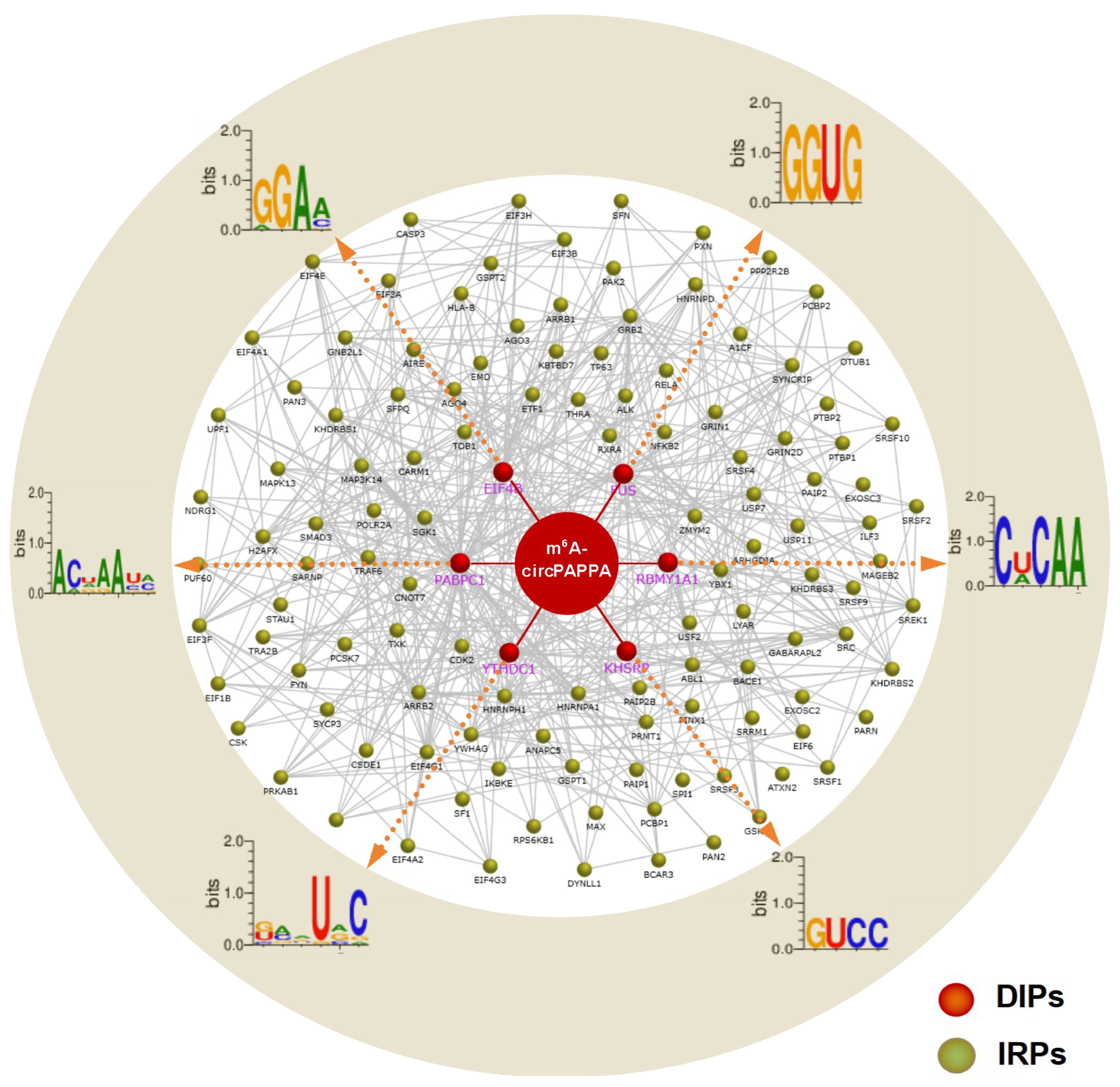 Animals 15 00581 g005