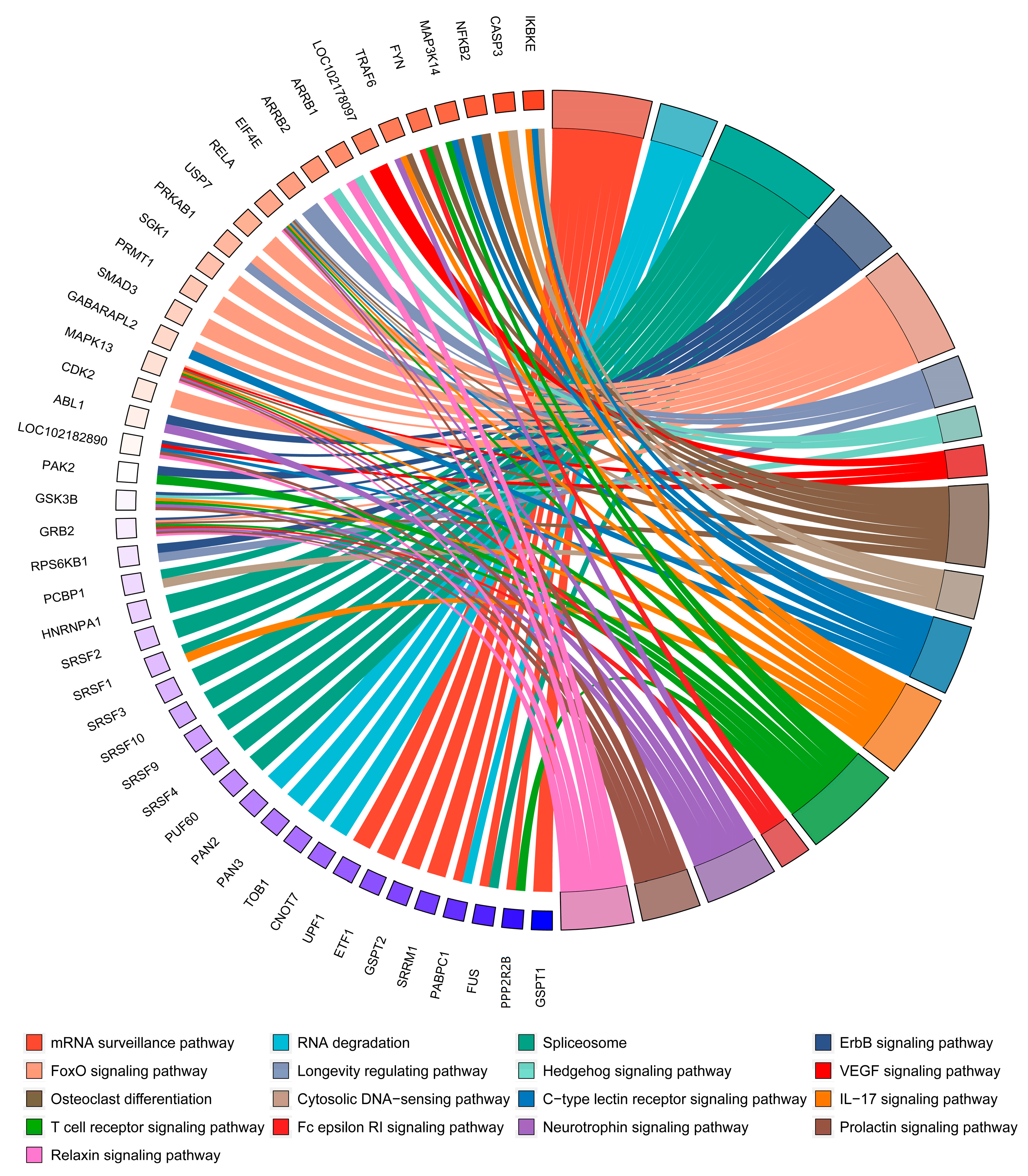 Animals 15 00581 g006