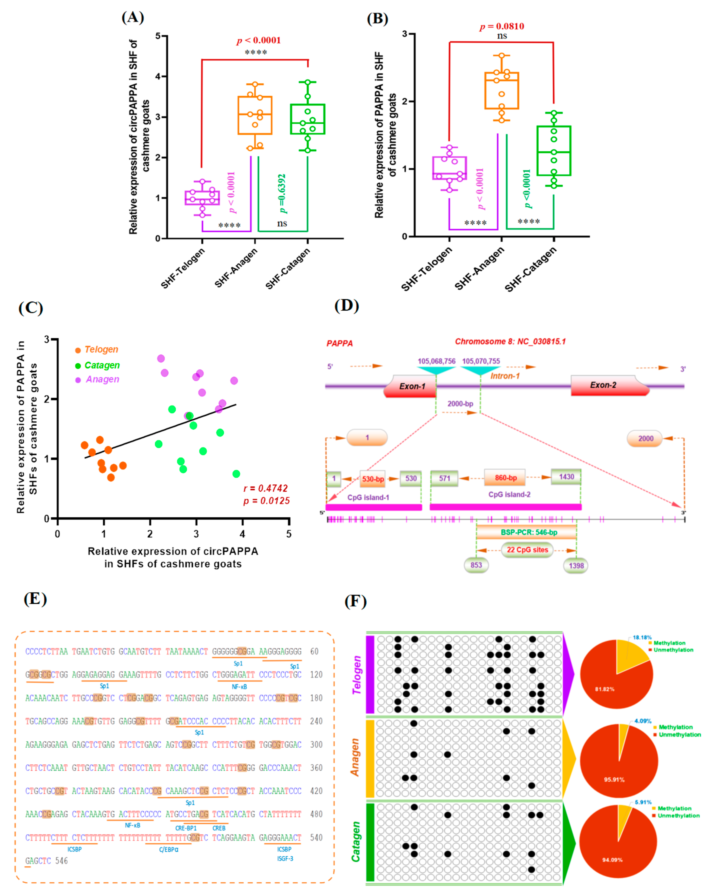 Animals 15 00581 g007