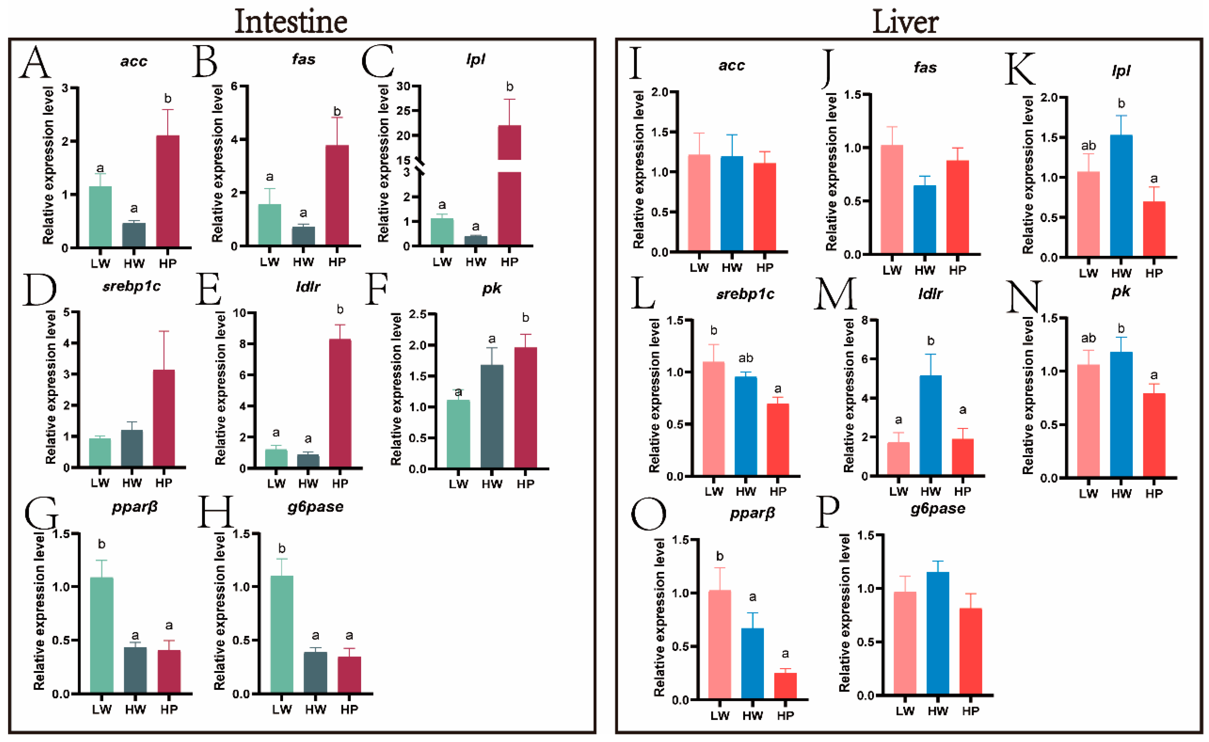 Animals 15 00583 g006