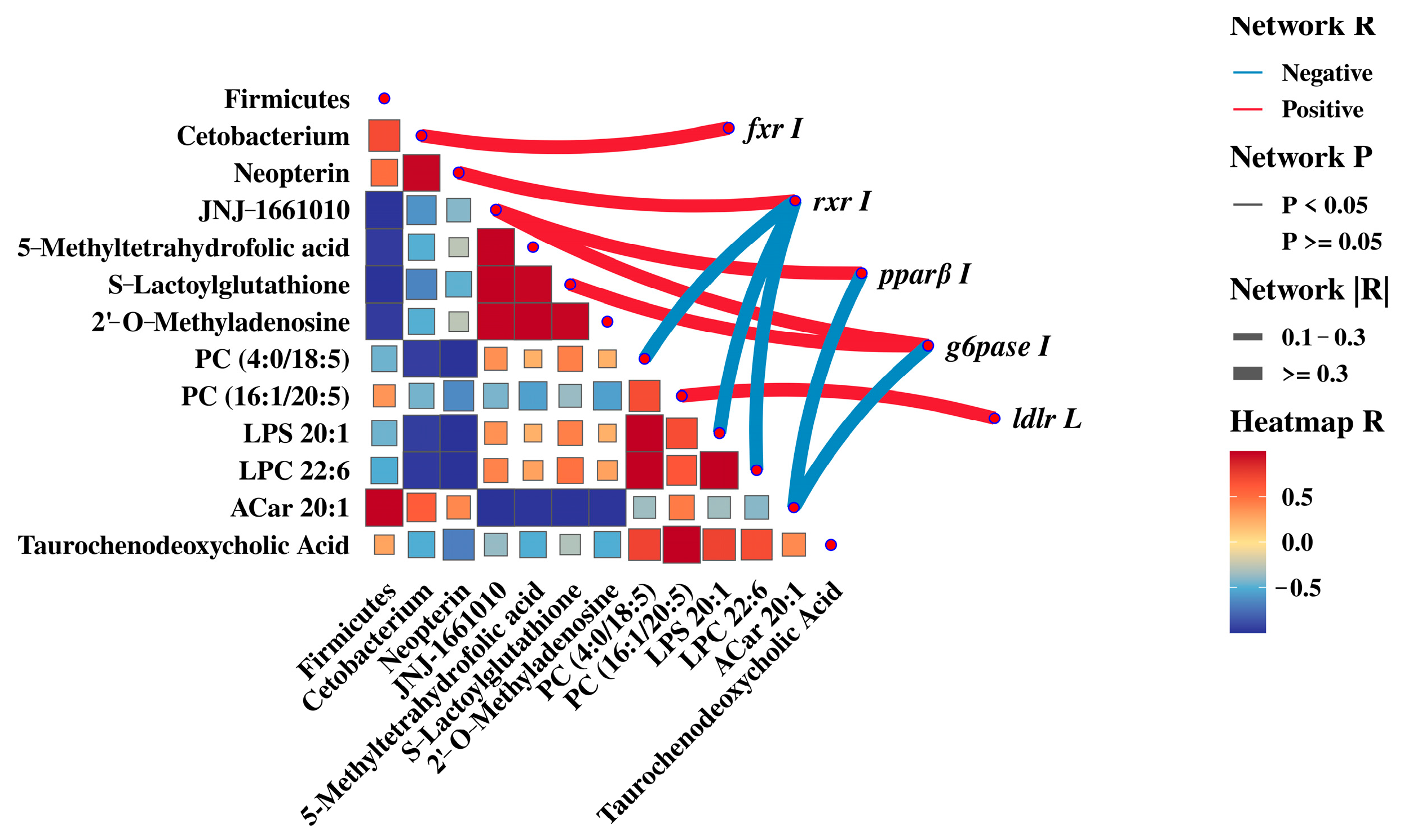Animals 15 00583 g007